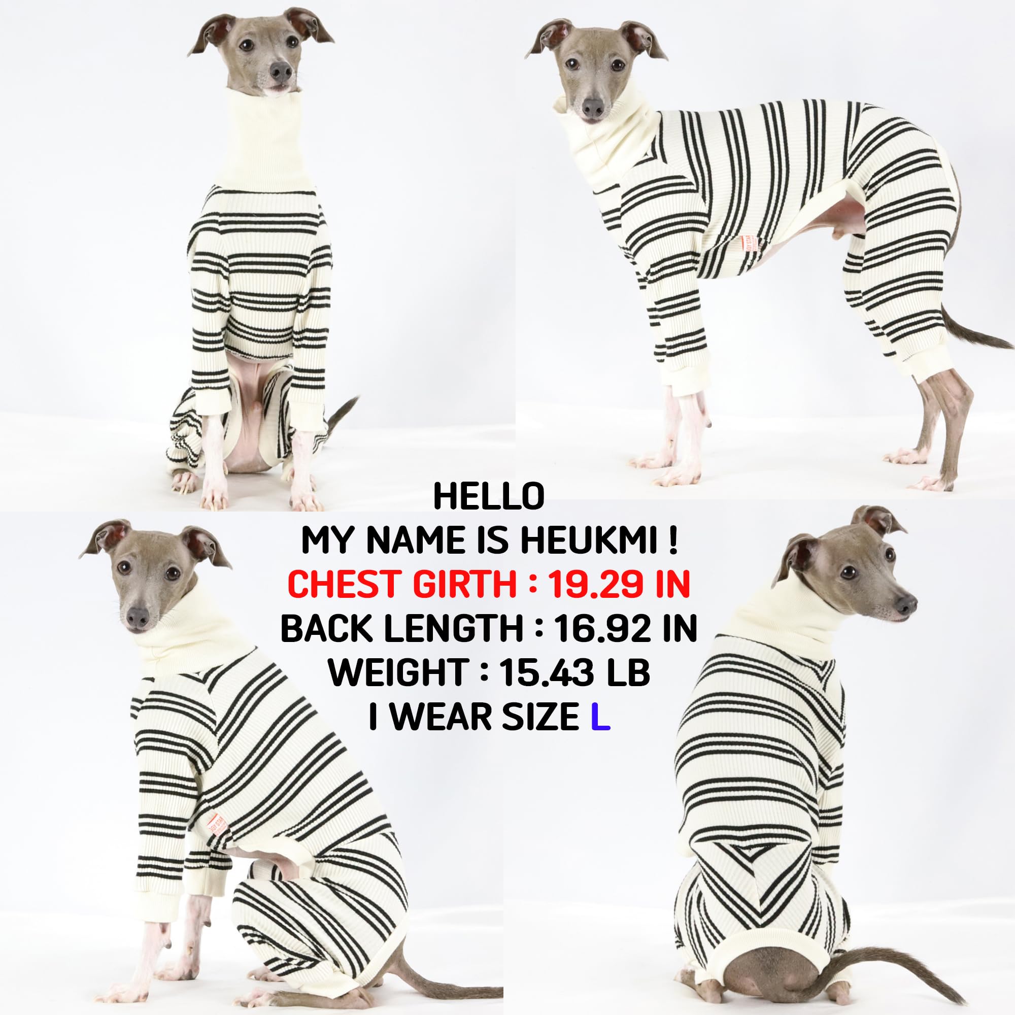 D Doggy Star Italian Greyhound Clothes Soft Stretchy Onesie Refined Stripe Outfit Whippet For Dog Coat (2Xl,Onsi Black Str)