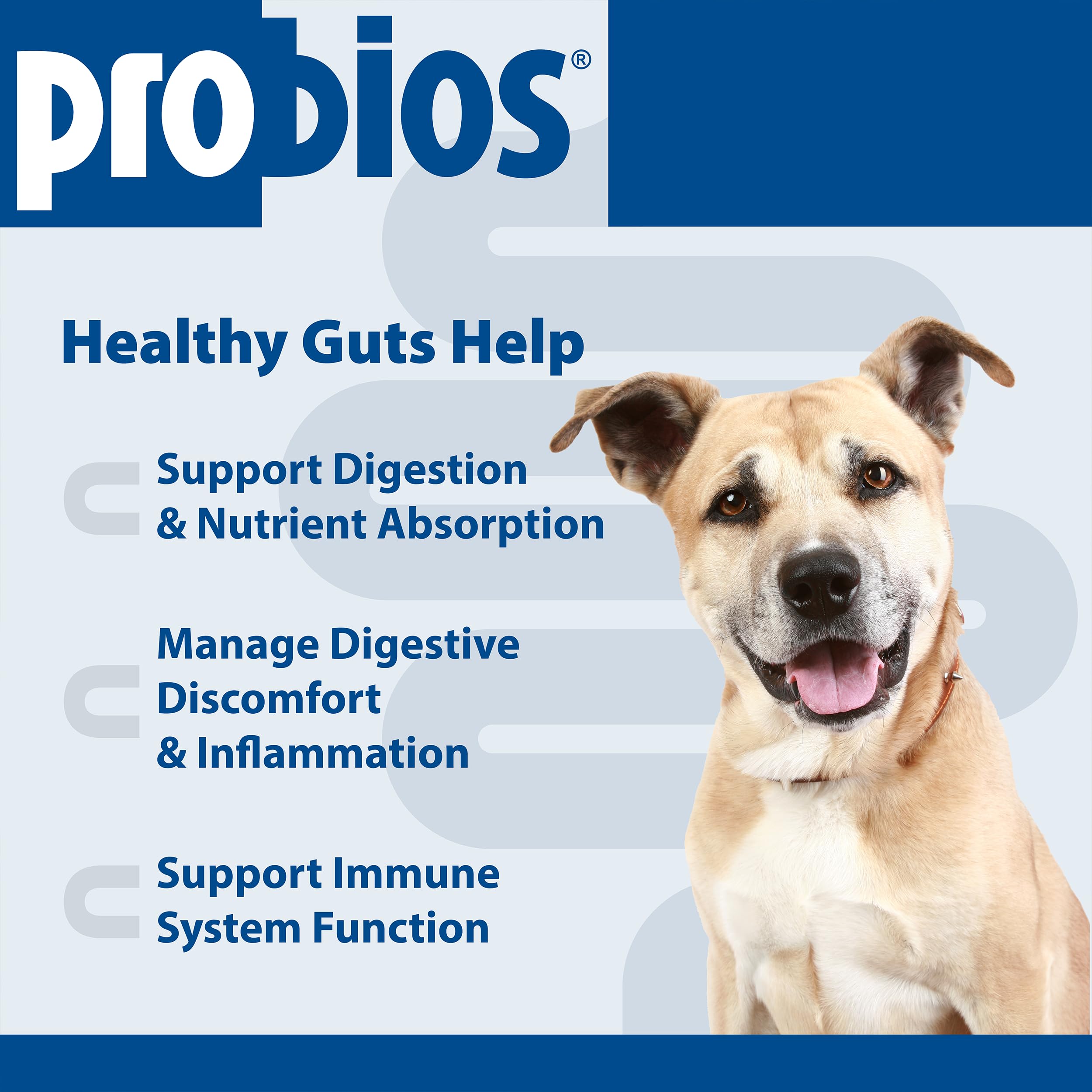 Probios Dog Treats - Digestion Support - 1lb Pouch