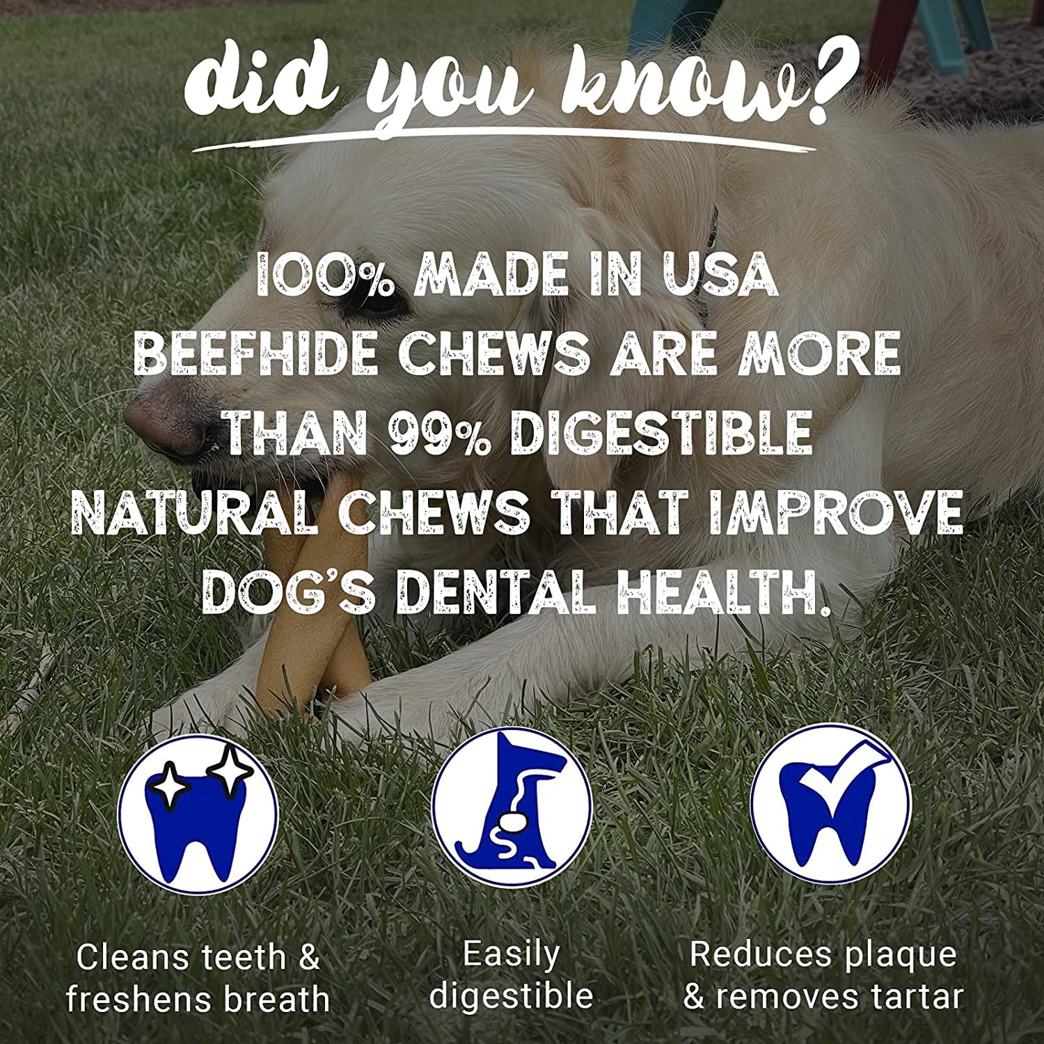 Pet Factory 100% Made in USA Beefhide 5  Chip Rolls Dog Chew Treats - Peanut Butter Flavor, 20 Count/1 Pack