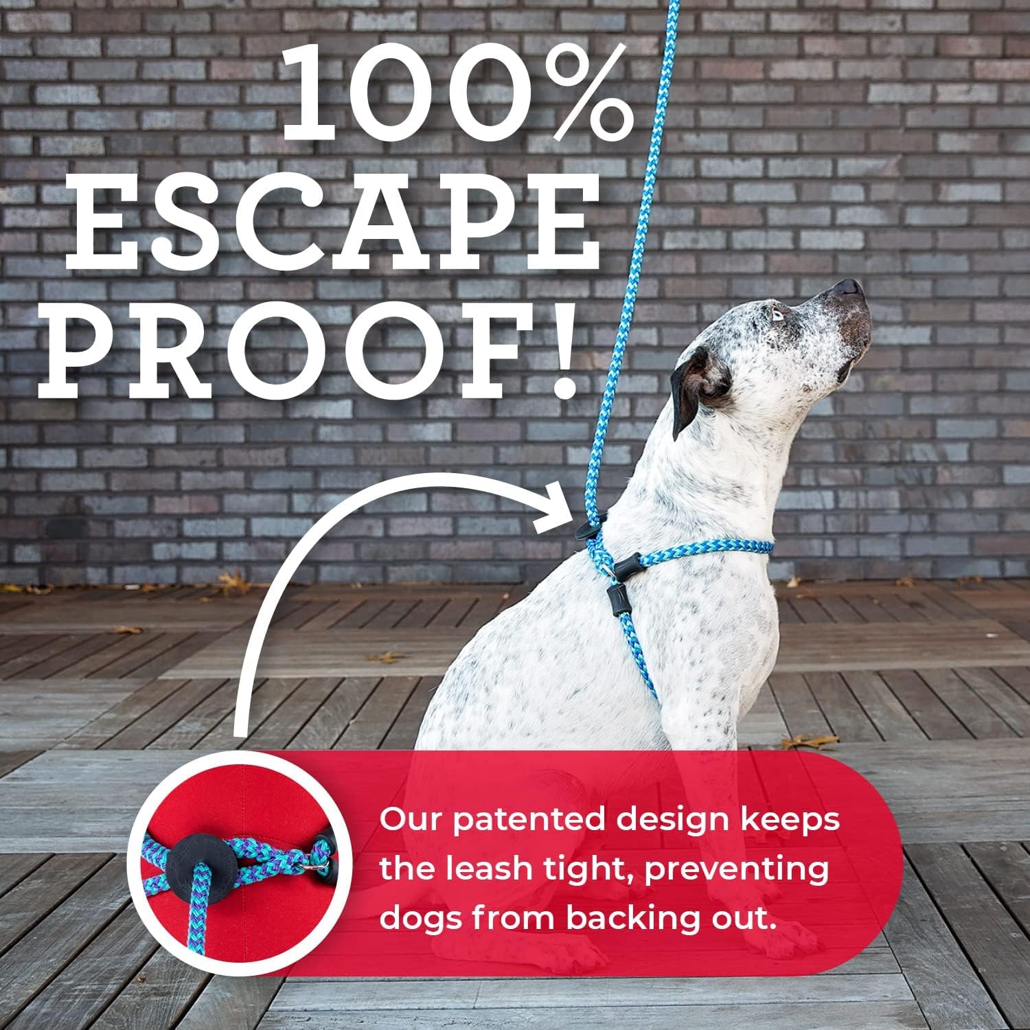 Harness Lead No Pull Dog Harness And Leash Set, Anti Pull Dog Harness For All Breeds And Sizes, One-Piece Cushioned Rope Design Safely Prevents Escaping And Pulling (Small/Medium, Blue/Multi)