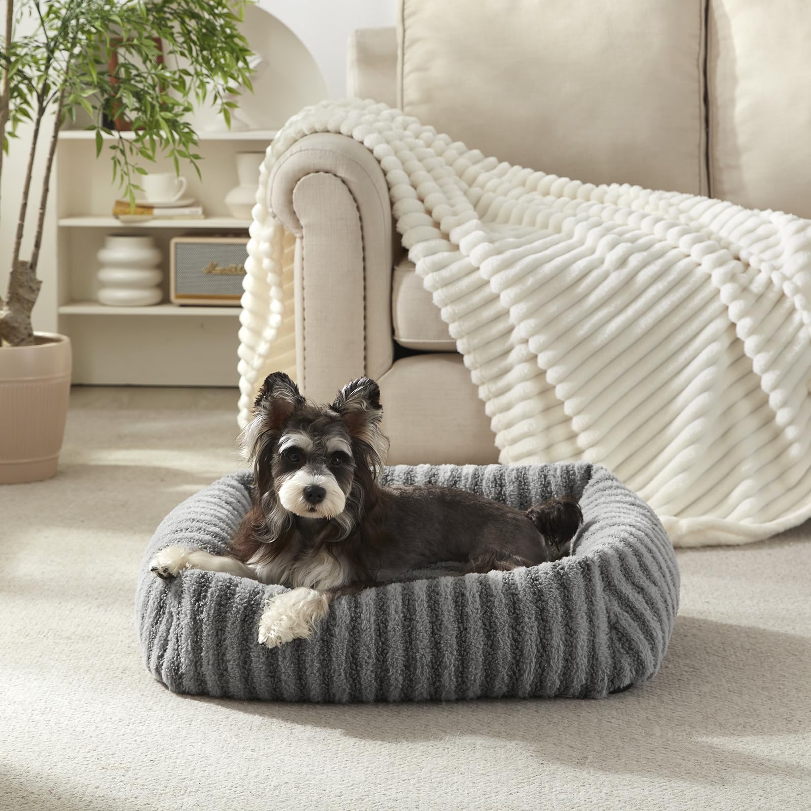 MIXJOY Medium Dog Beds for Medium Sized Dog, Calming Warming Pet Beds, Washable Dogs Bed with Removable Cover, Rectangle Pet Bed