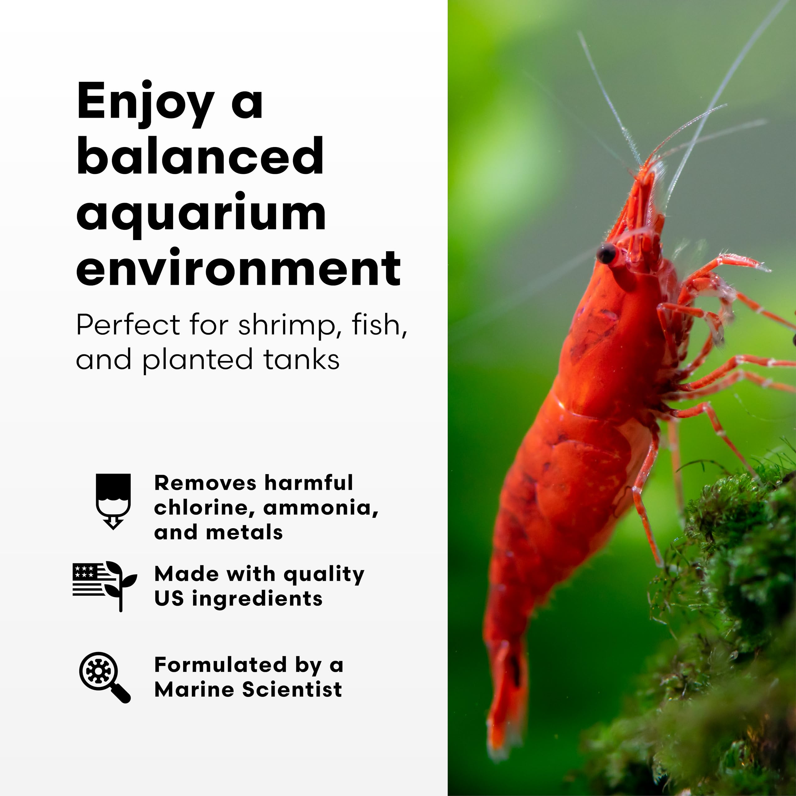 Brightwell Aquatics Shrimp Prep - Water Conditioner for Freshwater Shrimp & Aquariums - Removes Chlorine, Ammonia & Heavy Metals