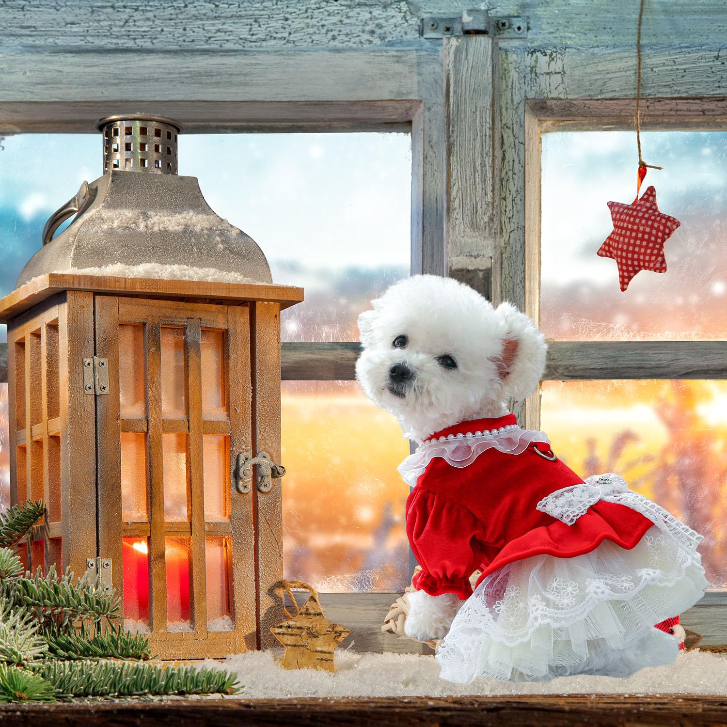 Fladorepet Dog Christmas Costume Outfits,Red Velvet Small Dog Bowknot Pearl Dress Tutu Skirt, Winter Cat Clothes Pet Apparel (Re