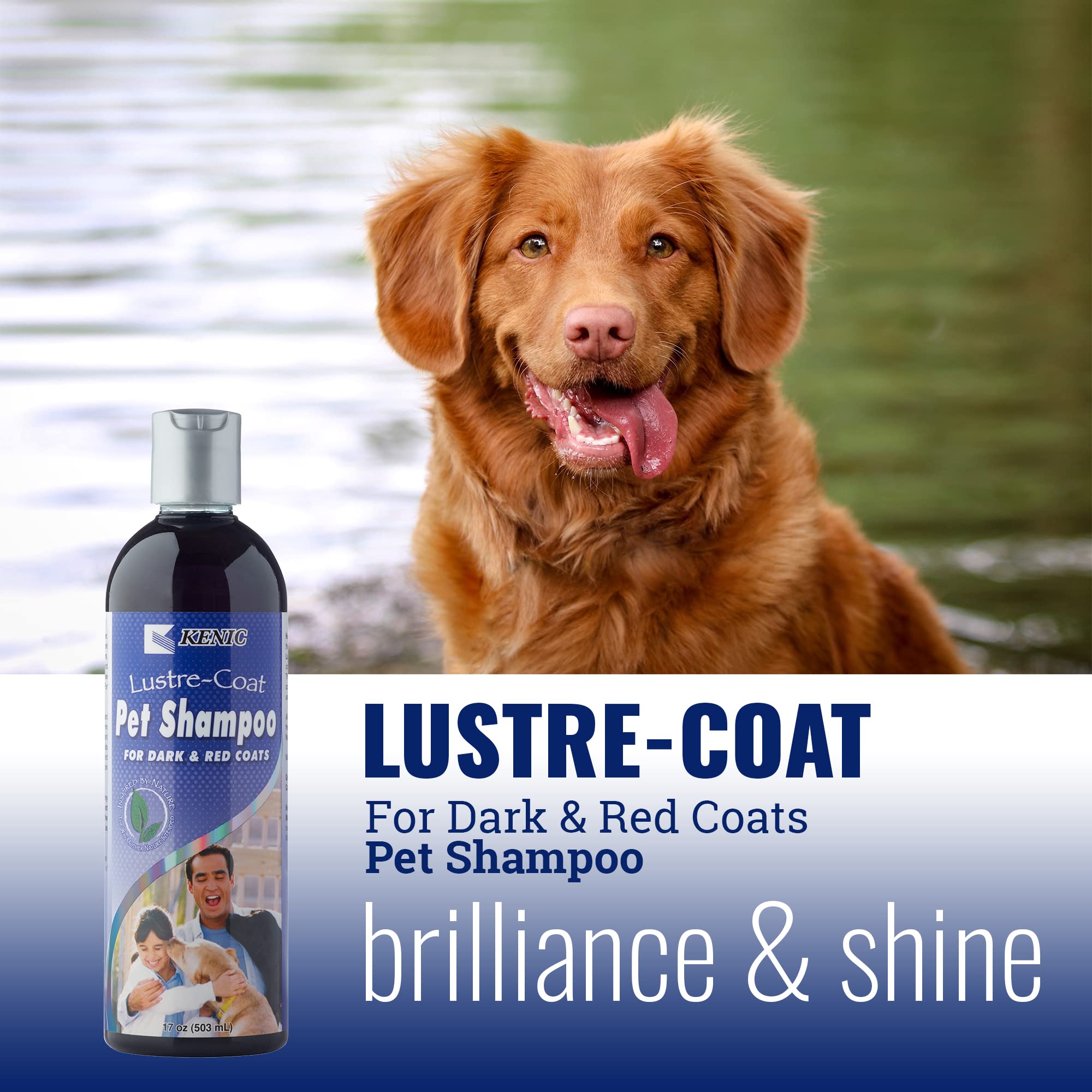 Kenic Dark Coat Dog & Cat Conditioning Shampoo - Enhances Deep Coat Color & Shine, Soap & Paraben-Free Grooming Formula, Made in