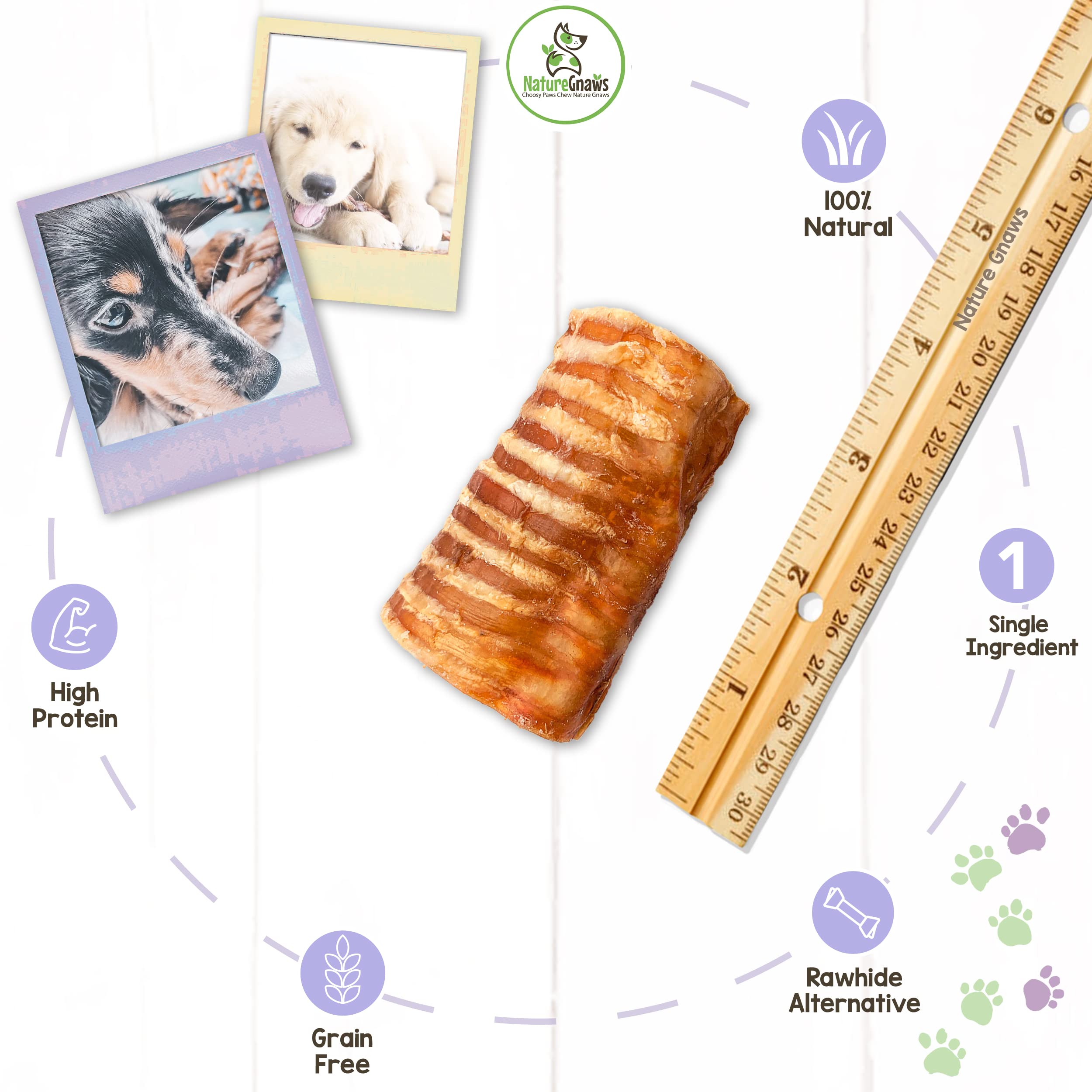 Nature Gnaws Beef Trachea Chews for Dogs 3 (12 Count) - Long Lasting Natural Crunchy Dog Chew Bones - Rawhide Free