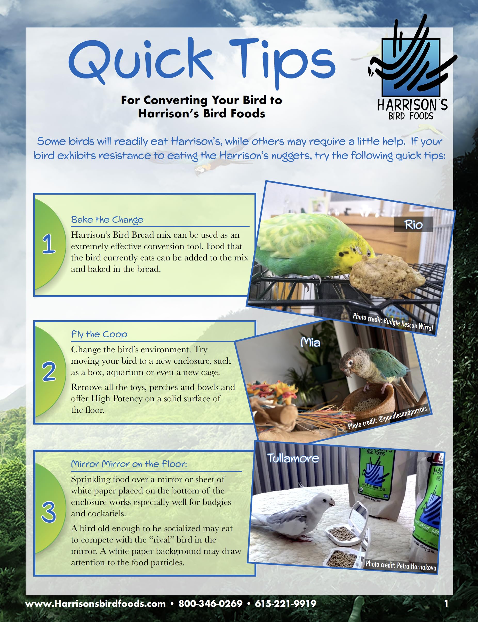 Harrisons Bird Foods Bird Food High Potency Certified Organic Non-GMO Bird Food