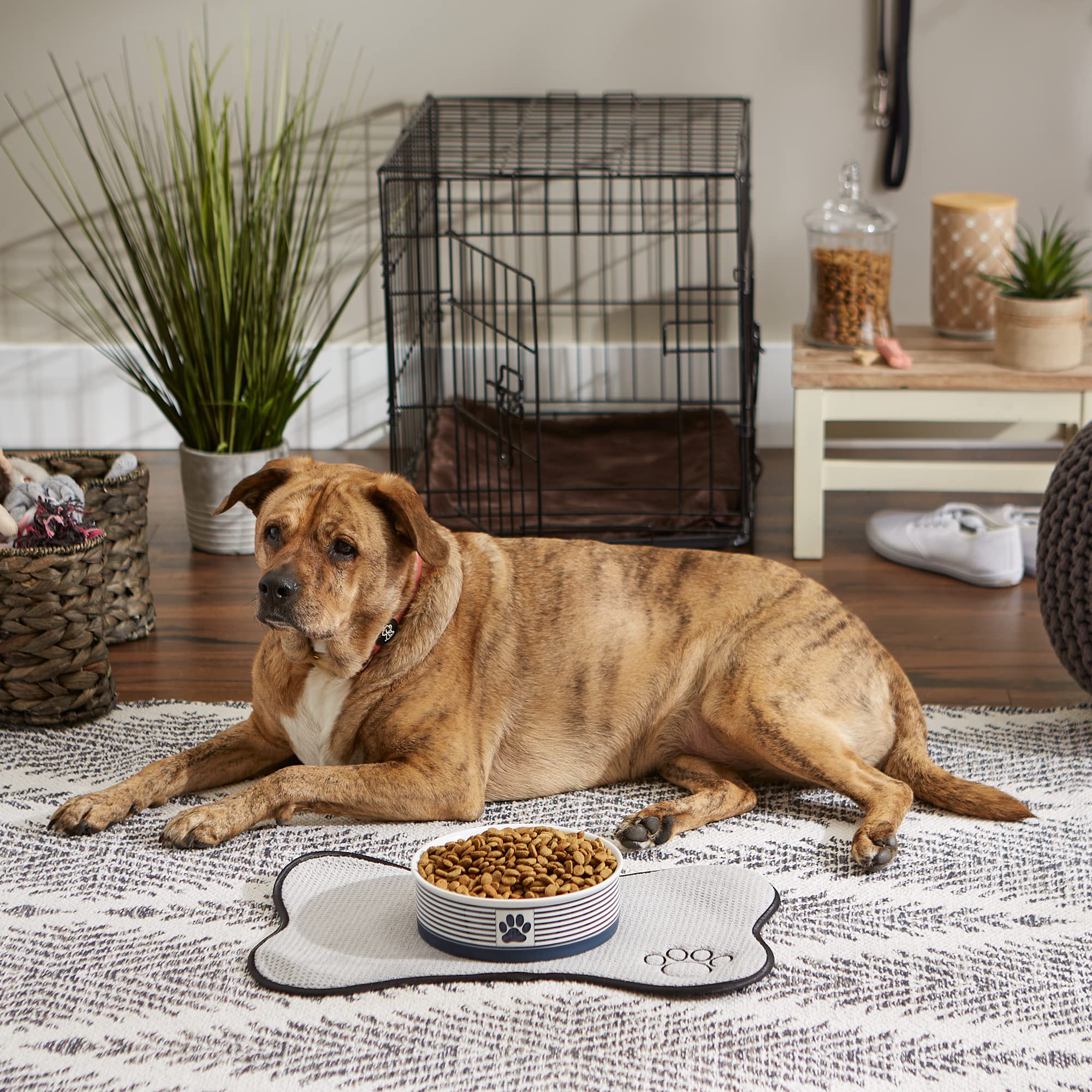 Bone Dry Paw & Patch Ceramic Pet Collection, Large Bowl, 7.5x2.4, Nautical Blue