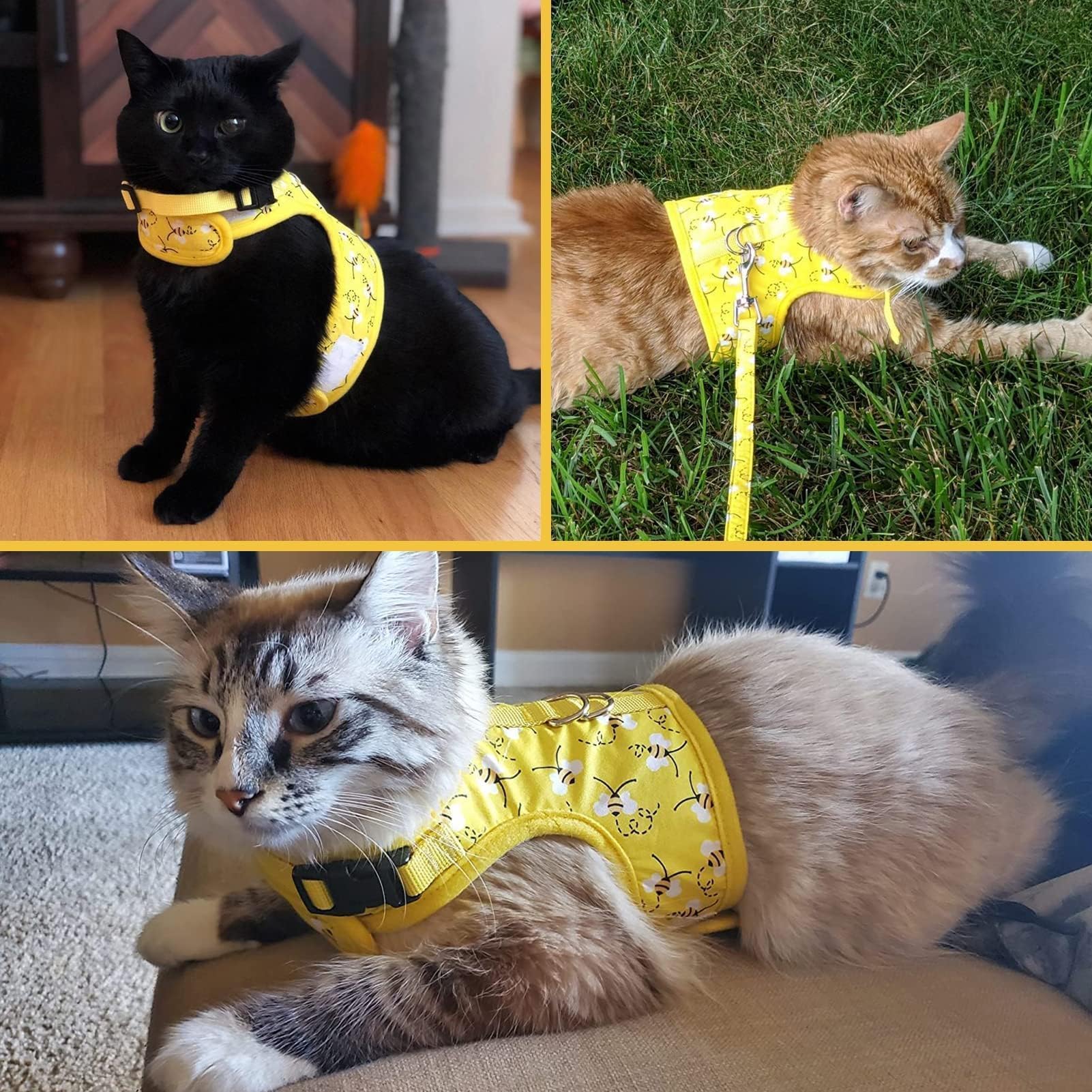 Bingpet Cat Harness With Leash And Collar For Walking - Escape Proof With 59 Inches Leash - Adjustable Soft Vest Harnesses For M