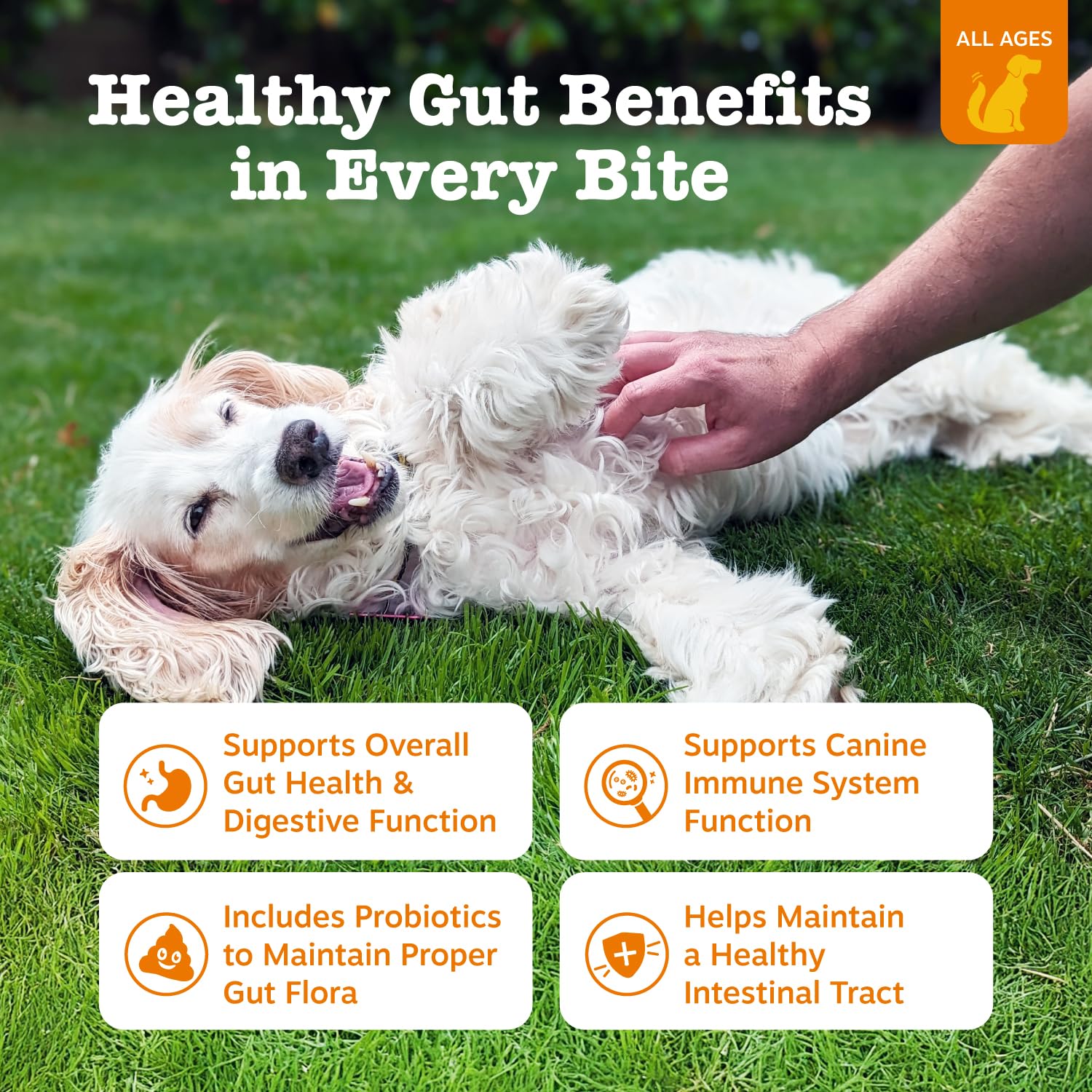 Zesty Paws Probiotics for Dogs, Digestive Enzymes Gut Flora, Digestive Health, Diarrhea & Bowel Support, DE111, Dog Probiotics S
