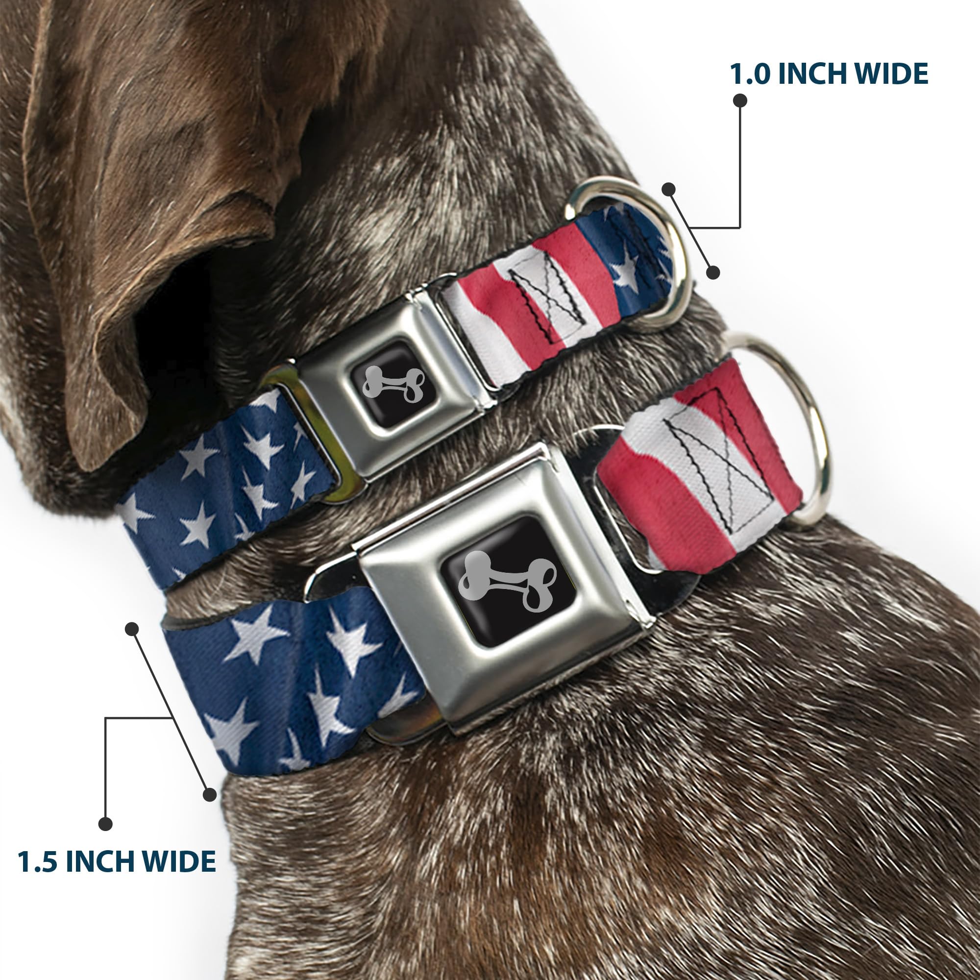 Dog Collar Seatbelt Buckle American Flag Vertical Close Up 16 To 23 Inches 1.5 Inch Wide