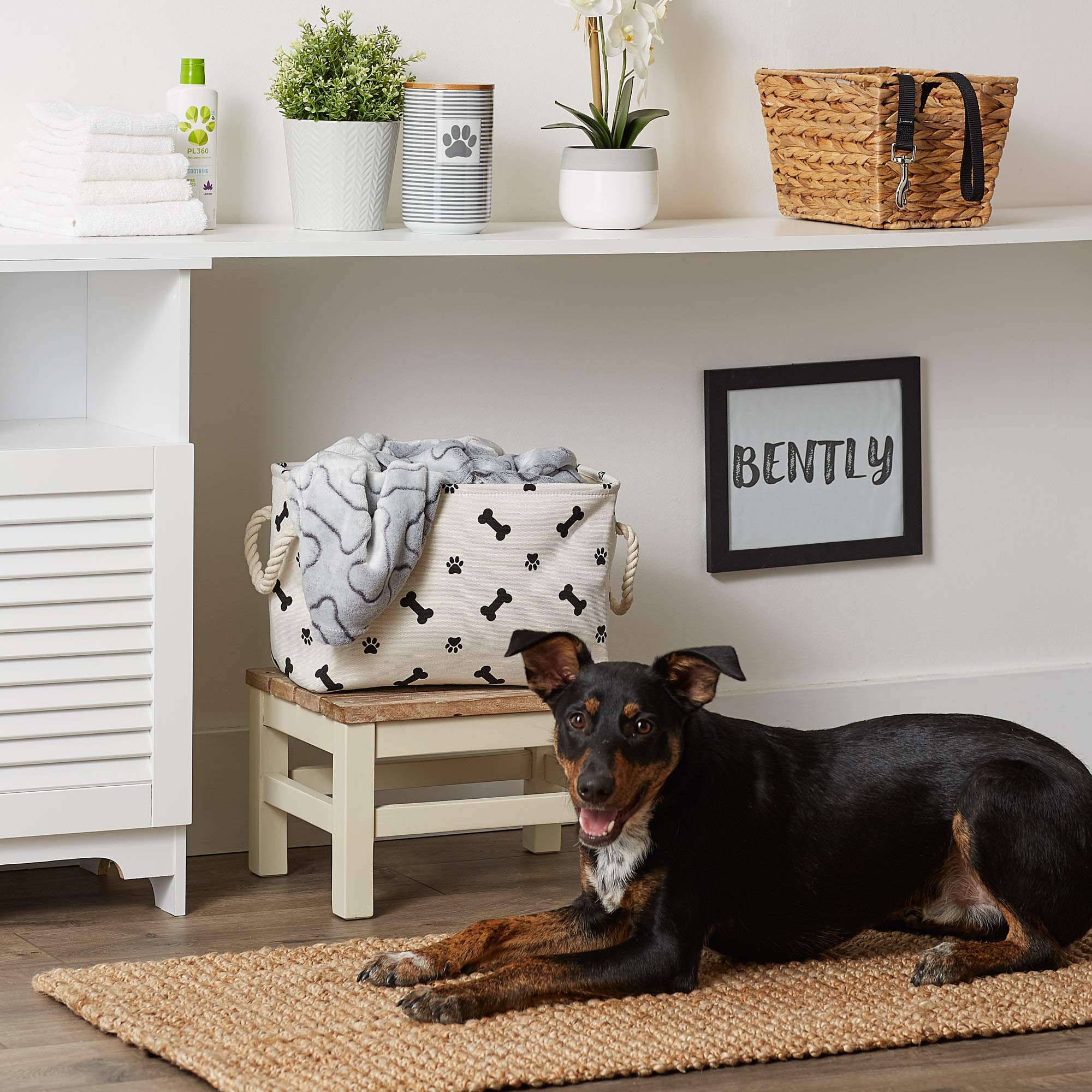 Bone Dry Pet Storage Collection Paw and Bone Print, Small Rectangle, 14x8x9, Black