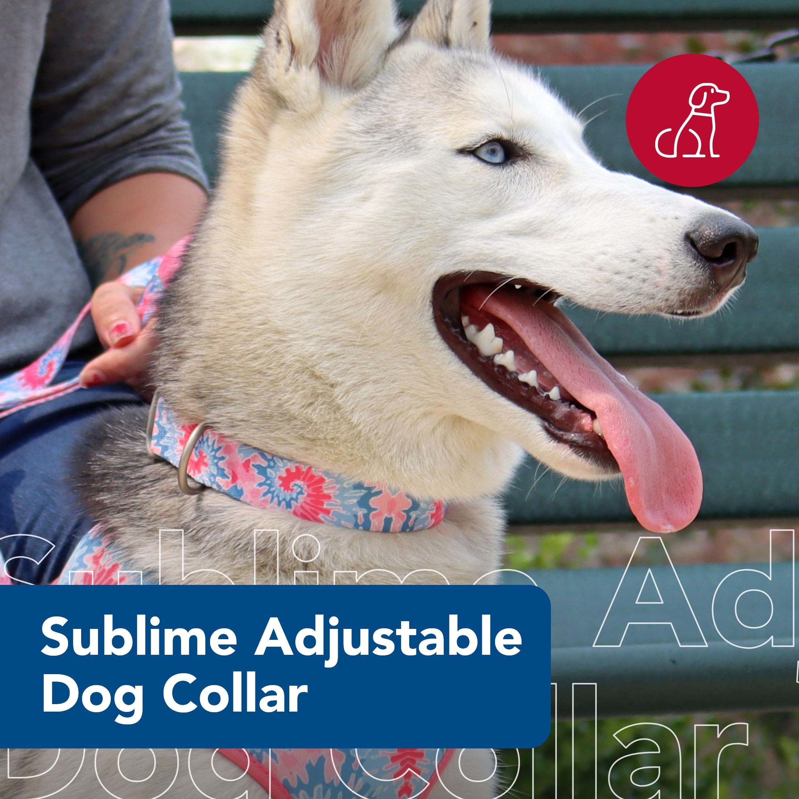 Coastal Pet Sublime Adjustable Dog Collar - Adjustable Plastic Buckle - Vibrant & Colorful Dog Collar With Fade-Resistant Patterns - Pink Tie Dye With Pink Arrows, Medium - 1' X 12'-18'