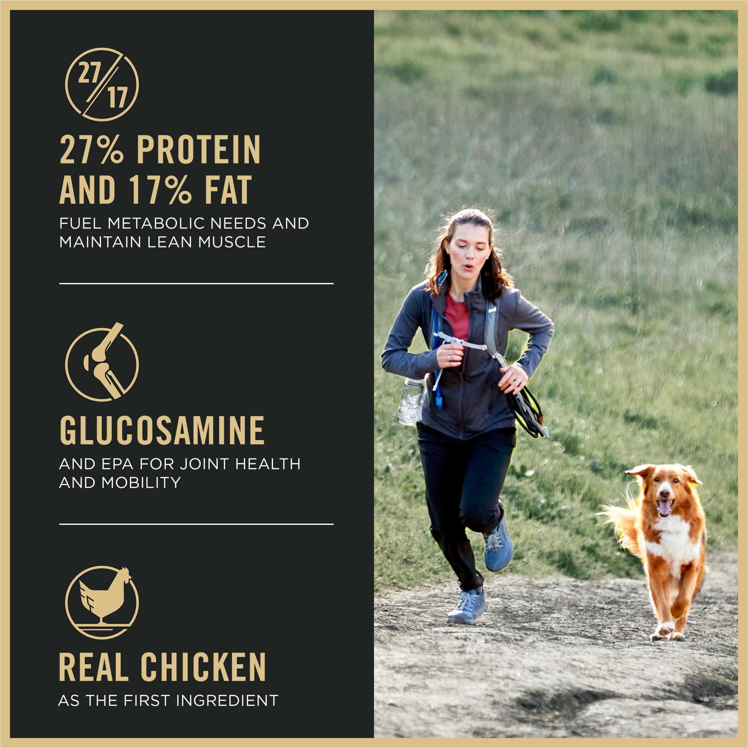 Purina Pro Plan Active, High Protein Dog Food, SPORT 27/17 Chicken & Rice Formula - 37.5 lb. Bag