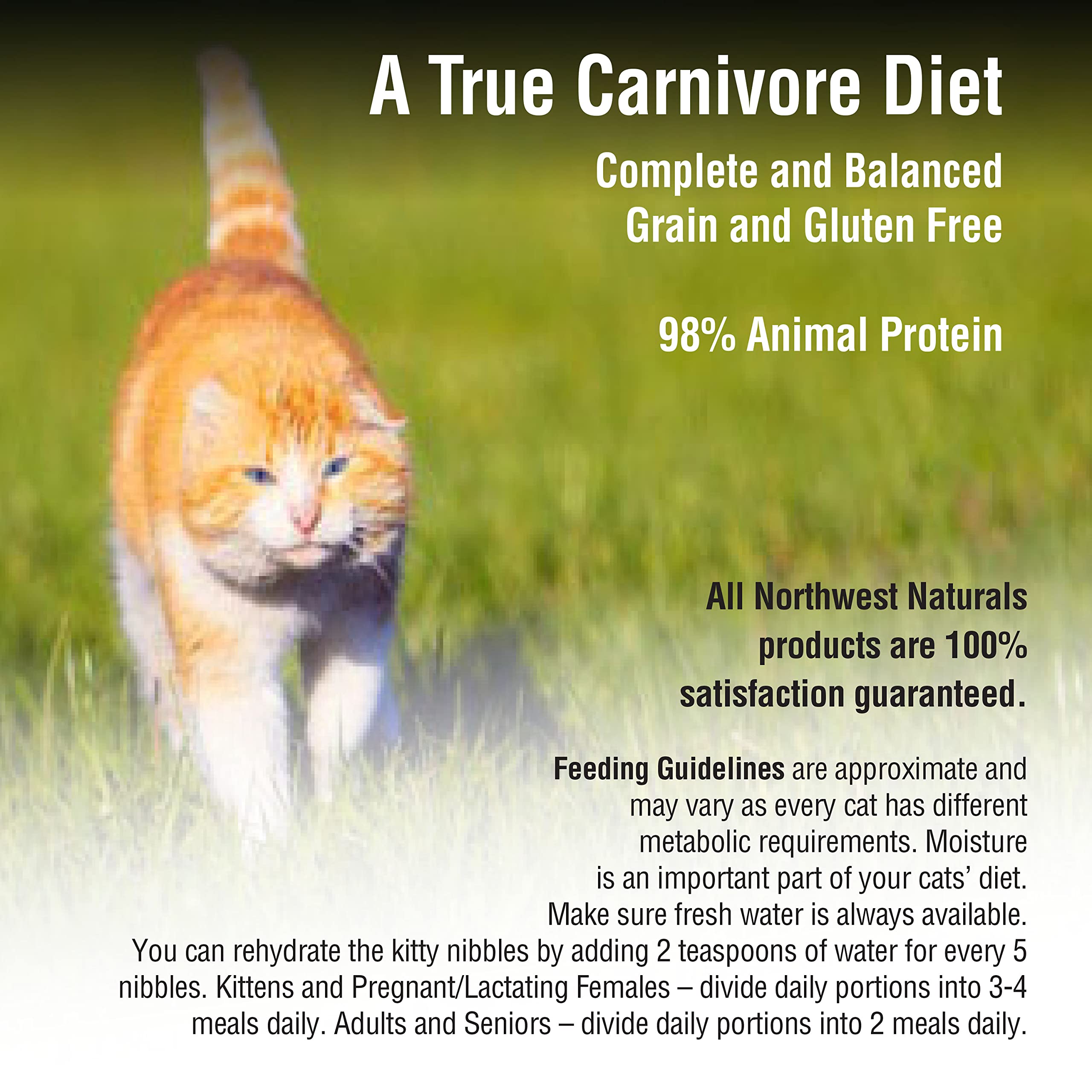 Northwest Naturals Freeze-Dried Turkey Cat & Kitten Food - Bite-Sized Nibbles - Healthy, Limited, Human-Grade Ingredients, All-N