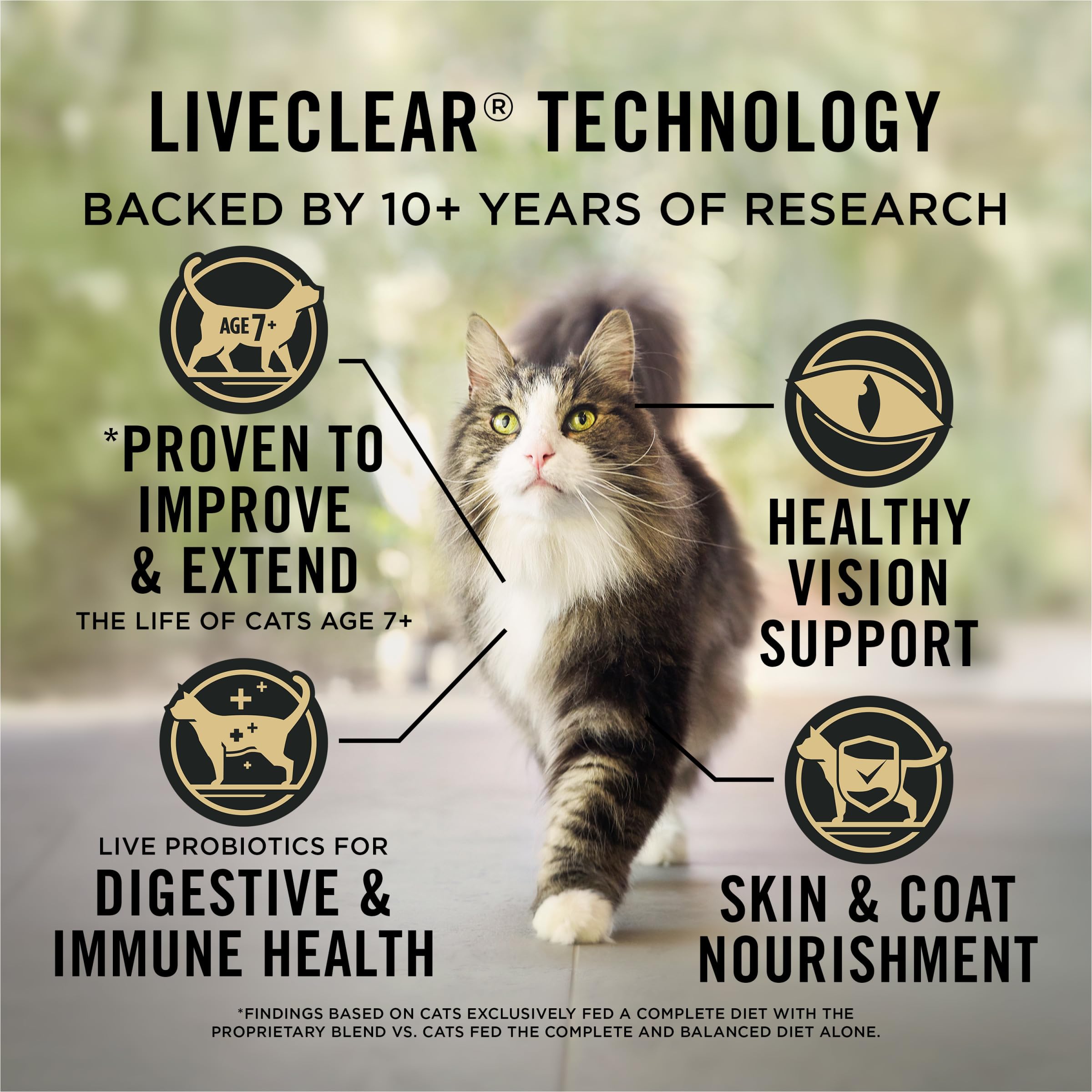 Purina Pro Plan LiveClear Cat Food 7+ Cat Allergen Reducer Chicken and Rice Formula - 5.5 lb. Bag