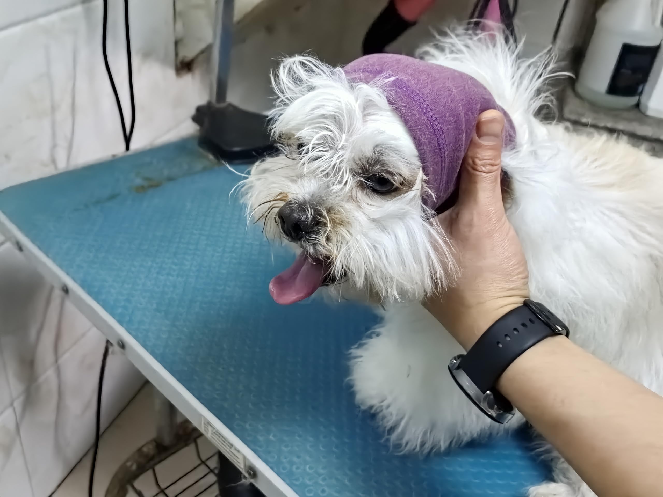 DDFS Dog Head Cover Keep Calm Ear Wrap Neck Muff Wrap Hematoma Dog Ear Cover Pail Lilac+Pink M