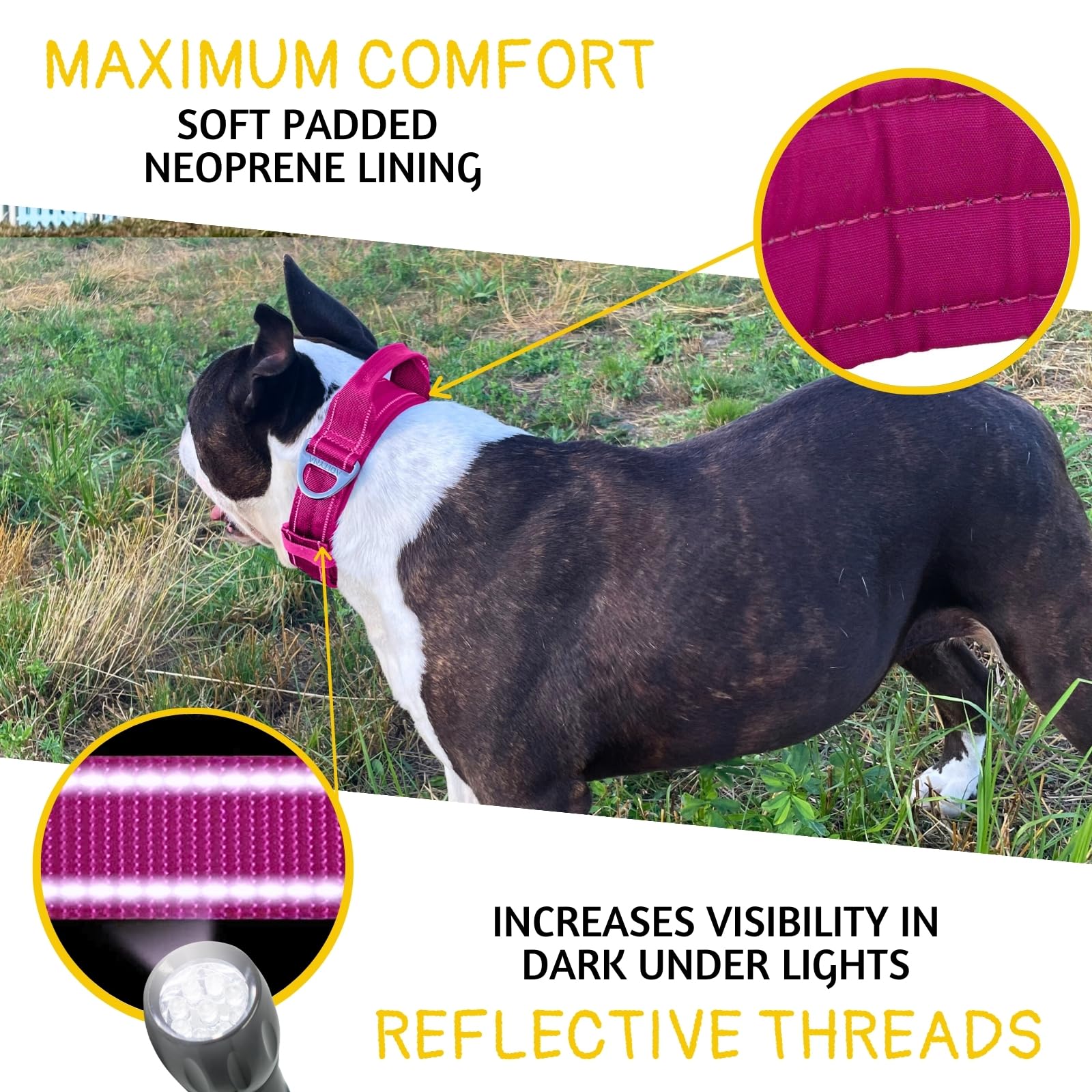 Adityna Heavy Duty Dog Collar For Medium Dogs - Reflective Magenta Collar With Handle For Training, And Walking - Wide, Thick, T