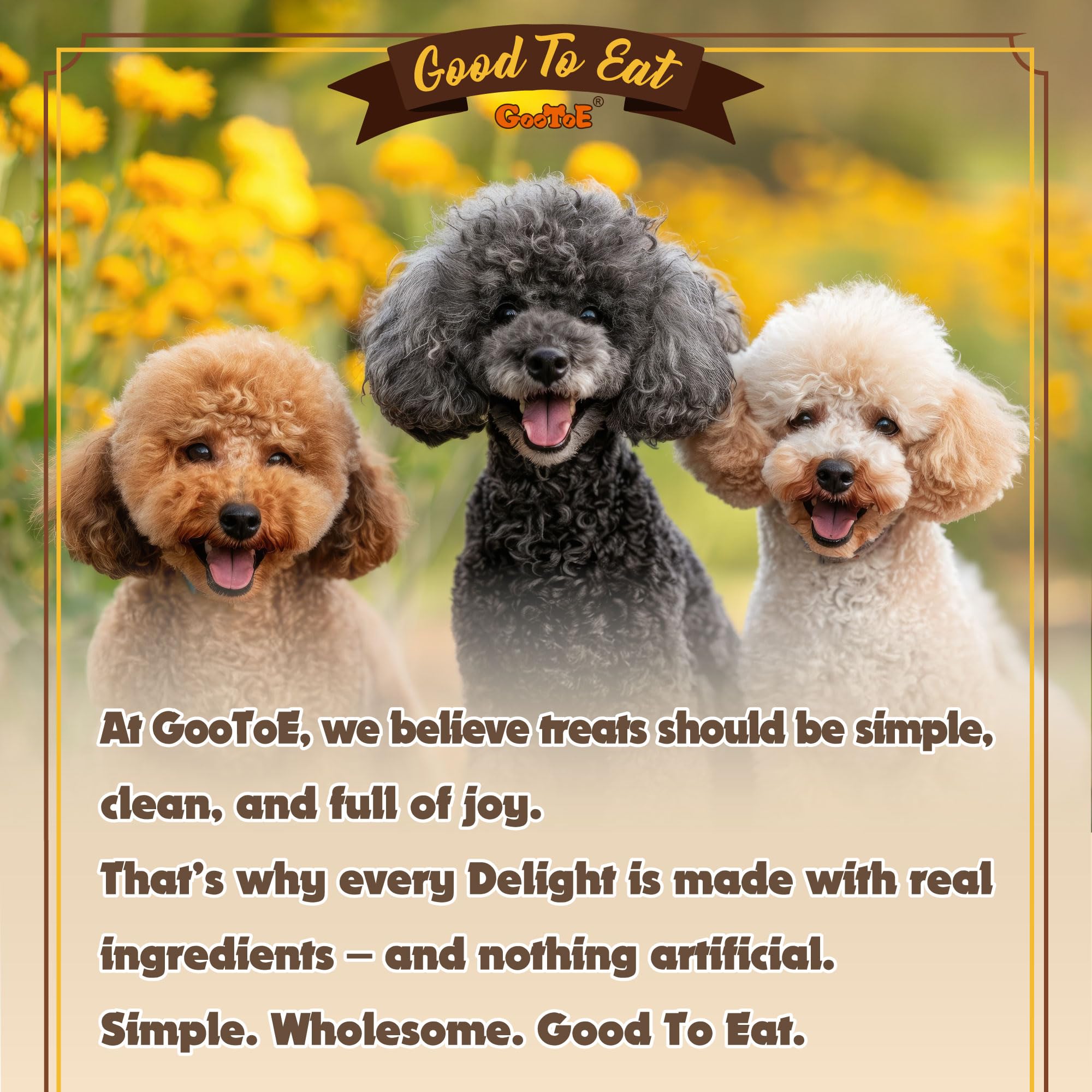 Gootoe Turkey Tendon Dog Treats, Bone (S) 1 lb, 100% USA Sourced Turkey, Natural Snack, Premium Puppy Chews, Hypoallergenic, Raw