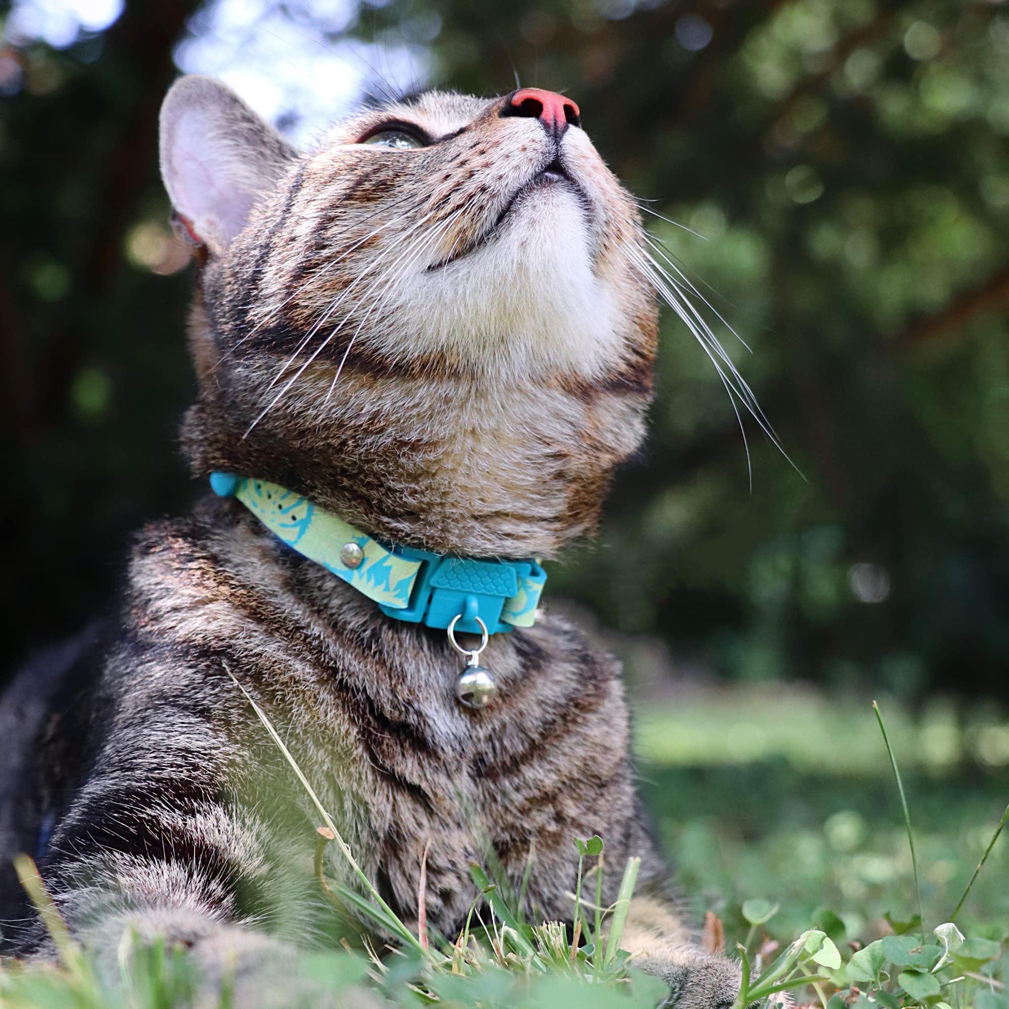 Kittyrama Botanicals Jungle Kitten Collar. Award Winning. Hypoallergenic, Quick Release Breakaway, Comfy & Soft. Vet Approved. O