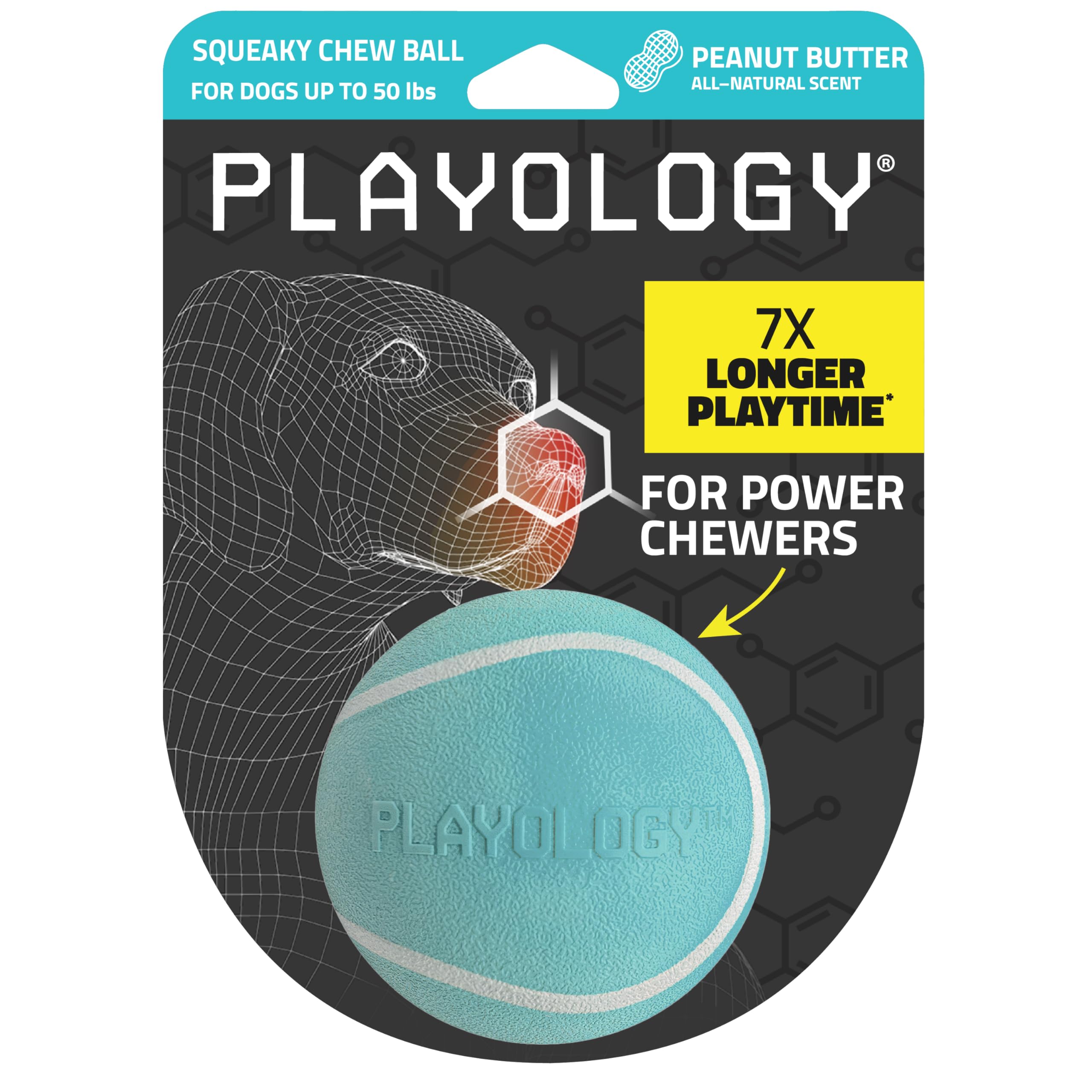Playology Dog Toys | Squeaky Chew Ball - Bouncy Durable Floating Fetch Ball for Dogs | Medium Peanut Butter Scented Toy - Easy t