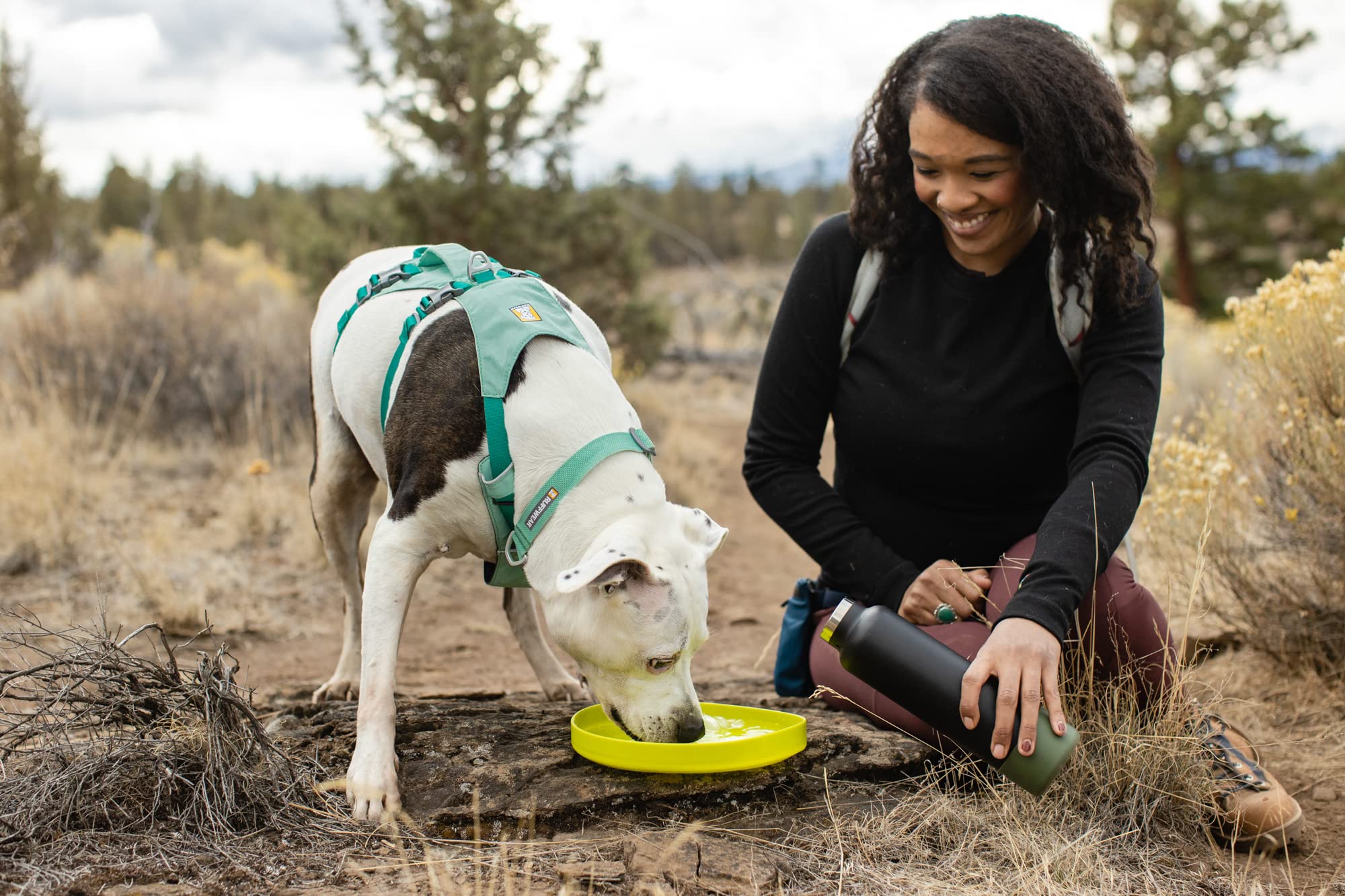 Ruffwear, Camp Flyer Dog Toy, Lightweight And Flexible Disc For Throw And Fetch, Lichen Green