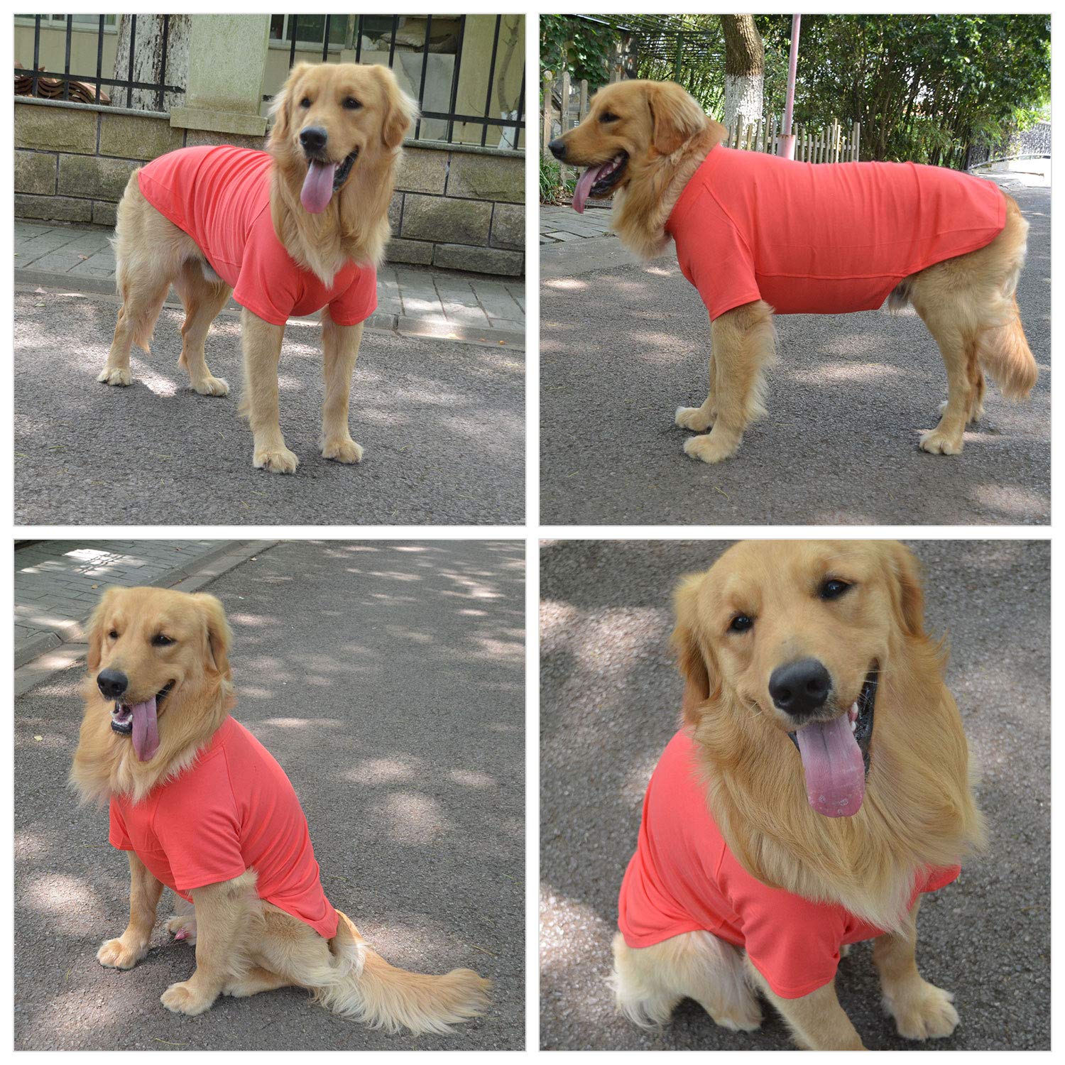 Lovelonglong Pet Clothing Dog Costumes Basic Blank T-Shirt Tee Shirts for Medium Dogs Lobster Pink XXL