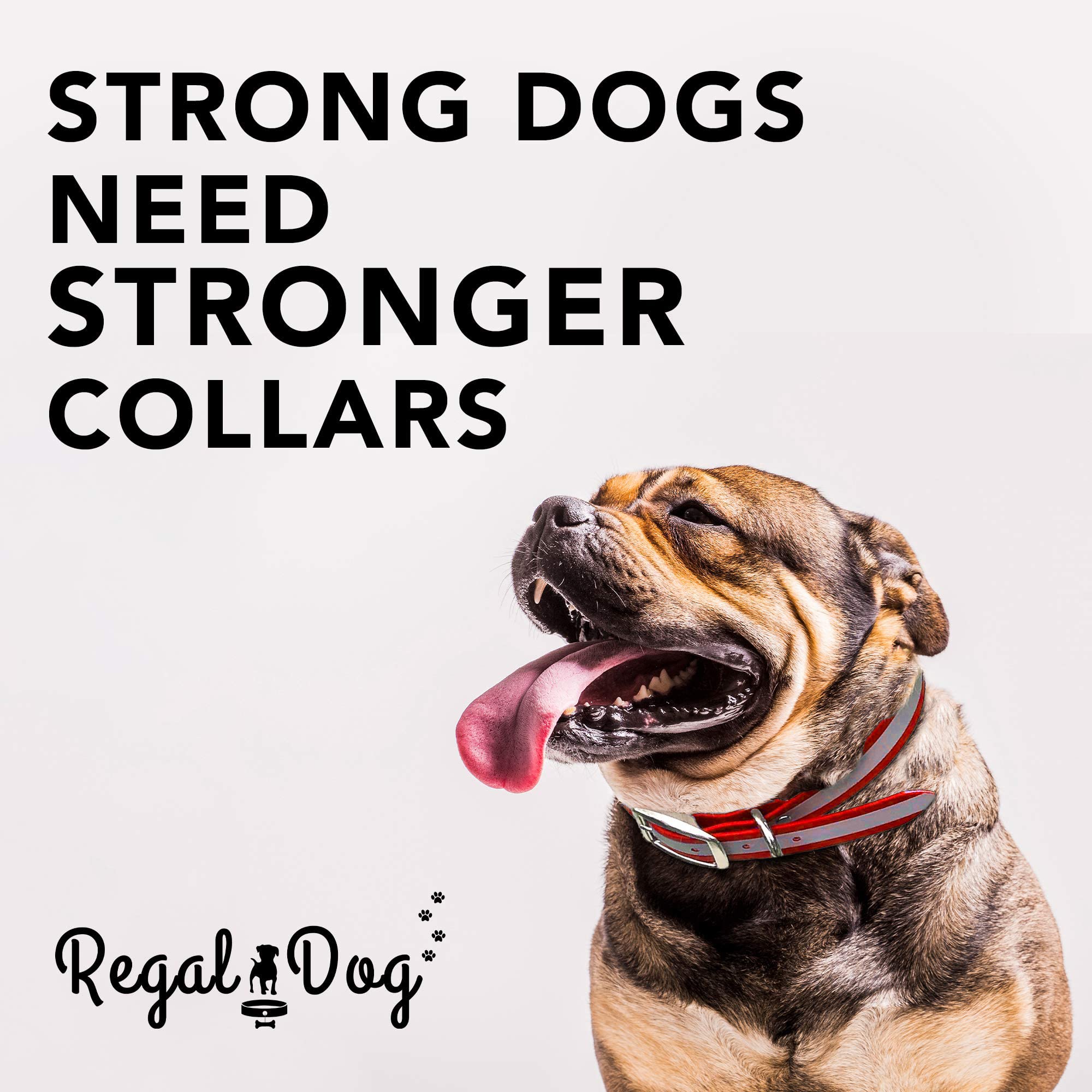 Regal Dog Products Medium Red Heavy Duty Reflective Dog Collar With Durable Metal Buckle And D Ring Adjustable, Chew Proof & Wat