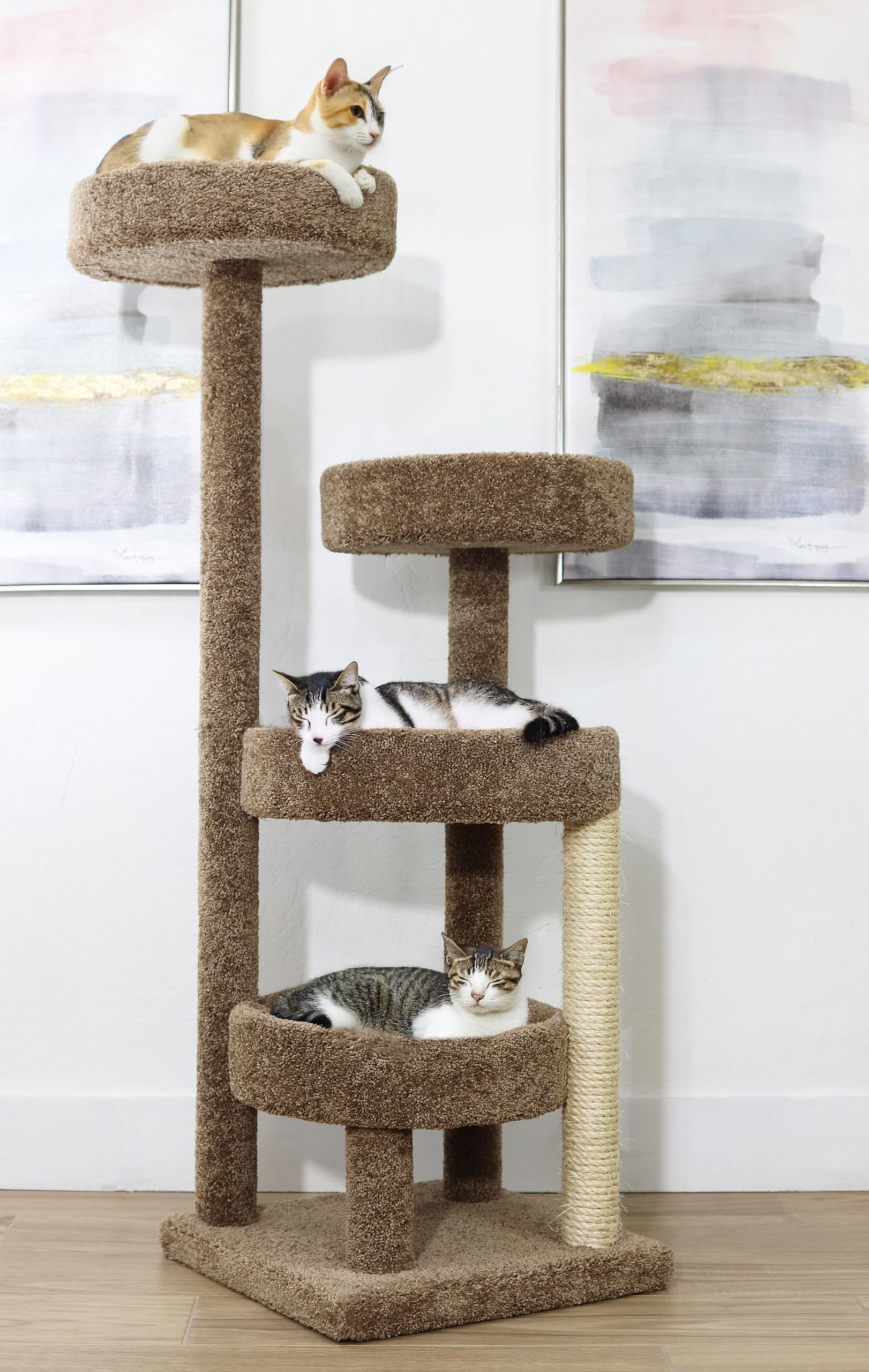 New Cat Condos Cat Climbing Tree