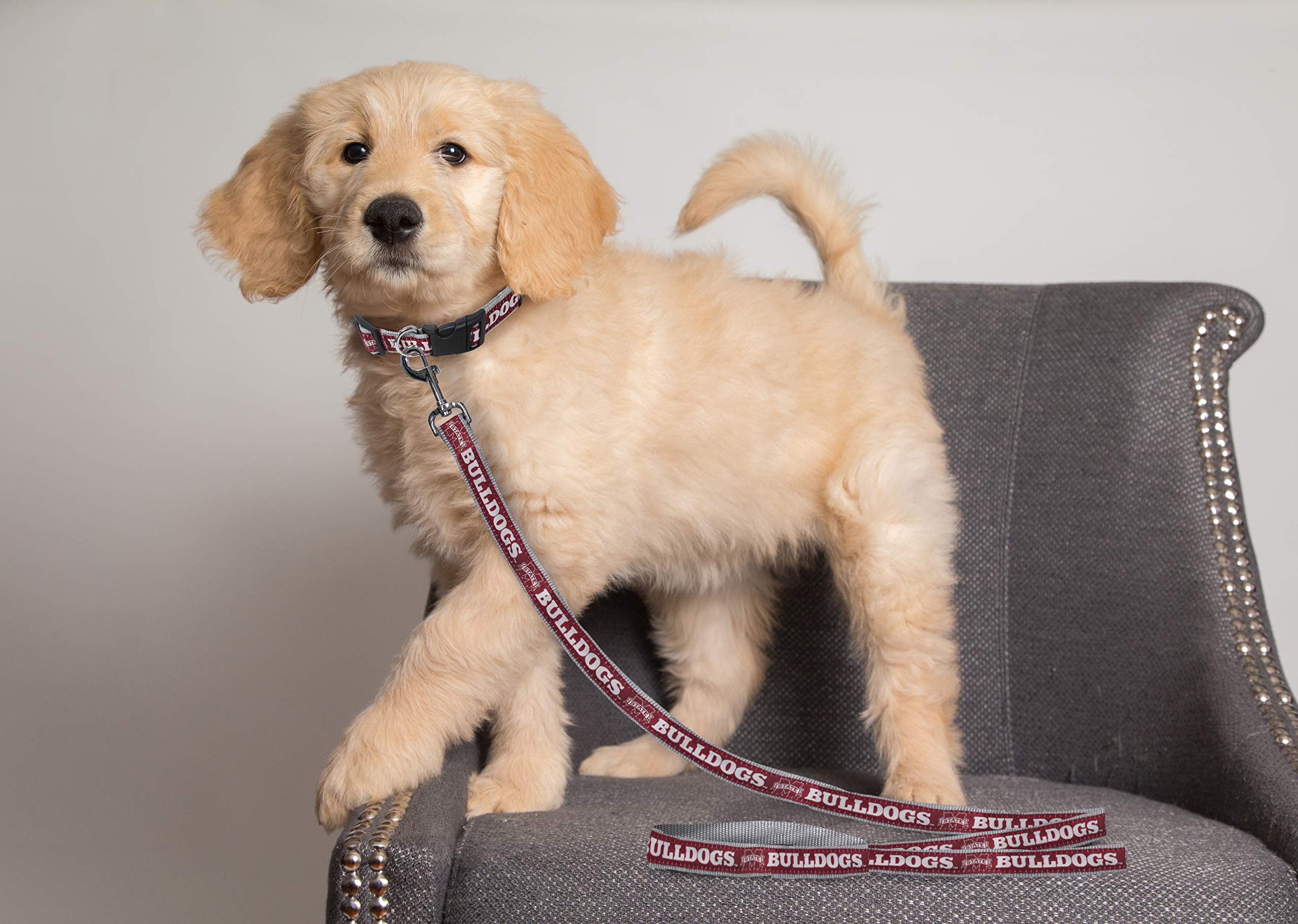 Ncaa Pet Leash, Medium, Mississippi State Bulldogs, Dog Leash, Shiny & Colorful Leash For Dogs & Cats Licensed By The Ncaa