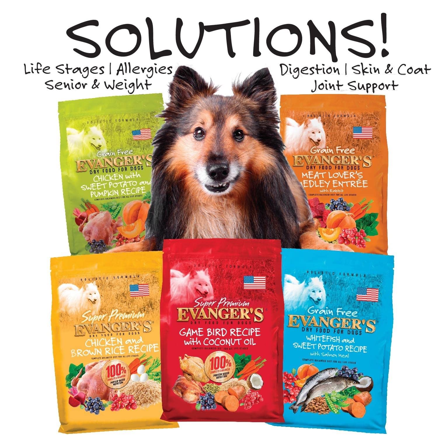 Evangers Grain-Free Whitefish & Sweet Potato with Salmon and Buffalo Meal Dry Dog Food, 4.4 lb Bag
