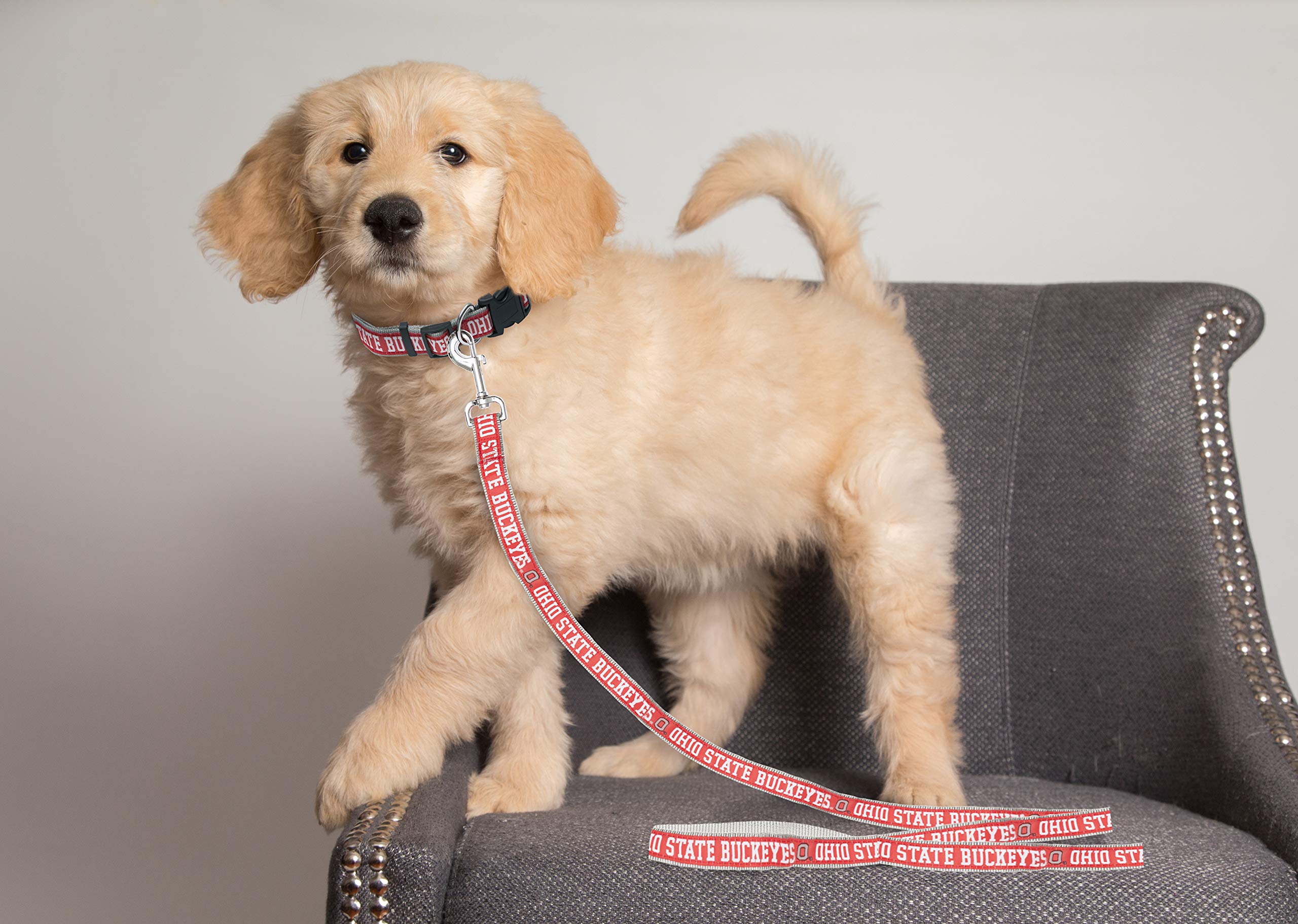Pets First College Ohio State Buckeyes Pet Leash, Large