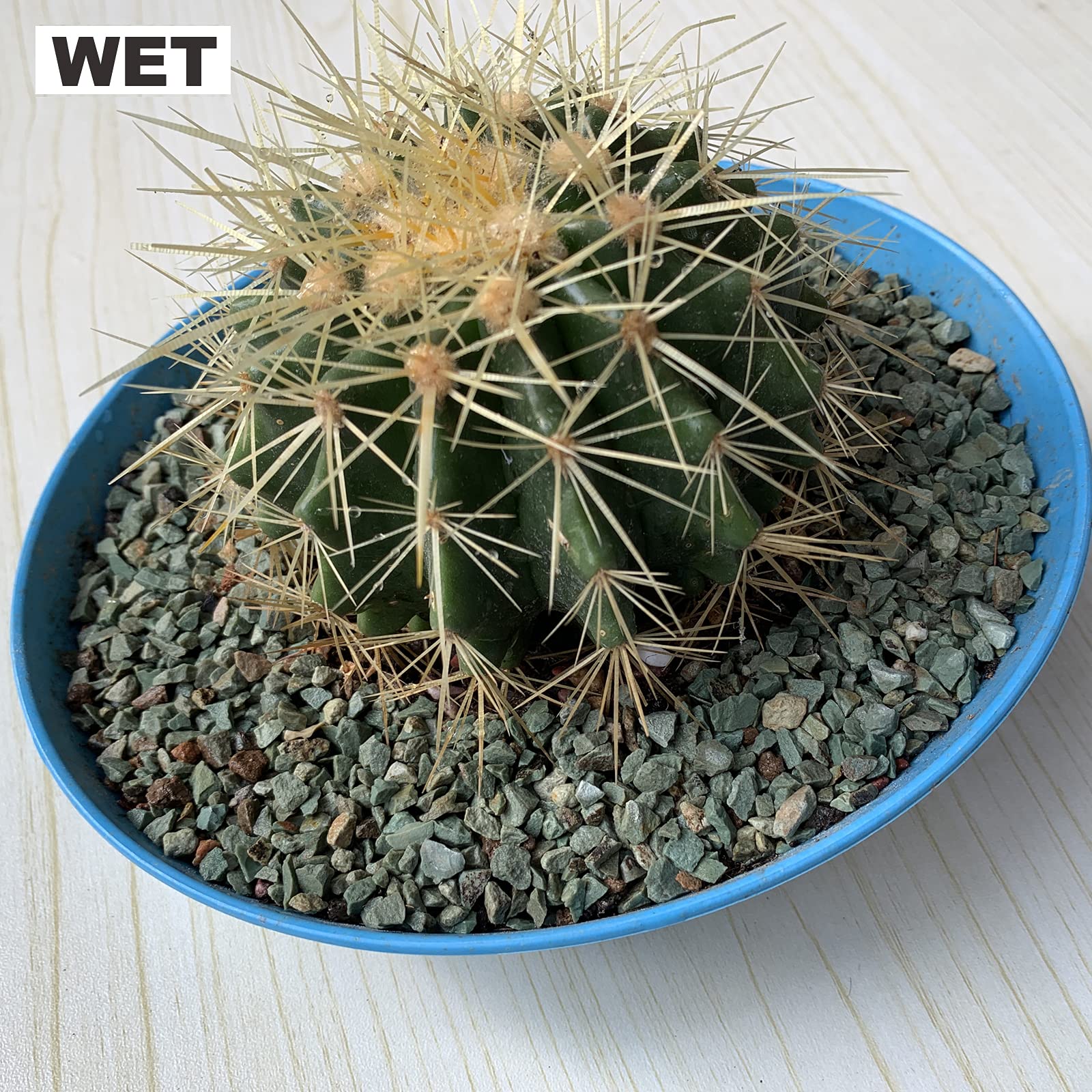 Boniosz 2lb Succulents and Cactus Green Zeolite, D  cor & Additive Rocks, Natural Decorative Gravel for Bonsai, Fairy Gardening,