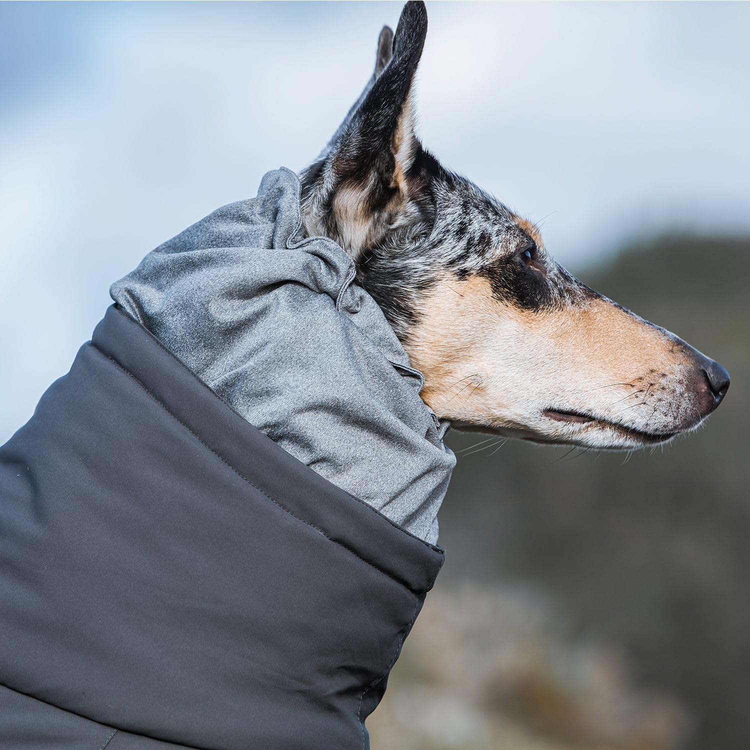 Hurtta Extreme Overall Dog Snowsuit, BlackBerry, Size 26M, 100% PES Material