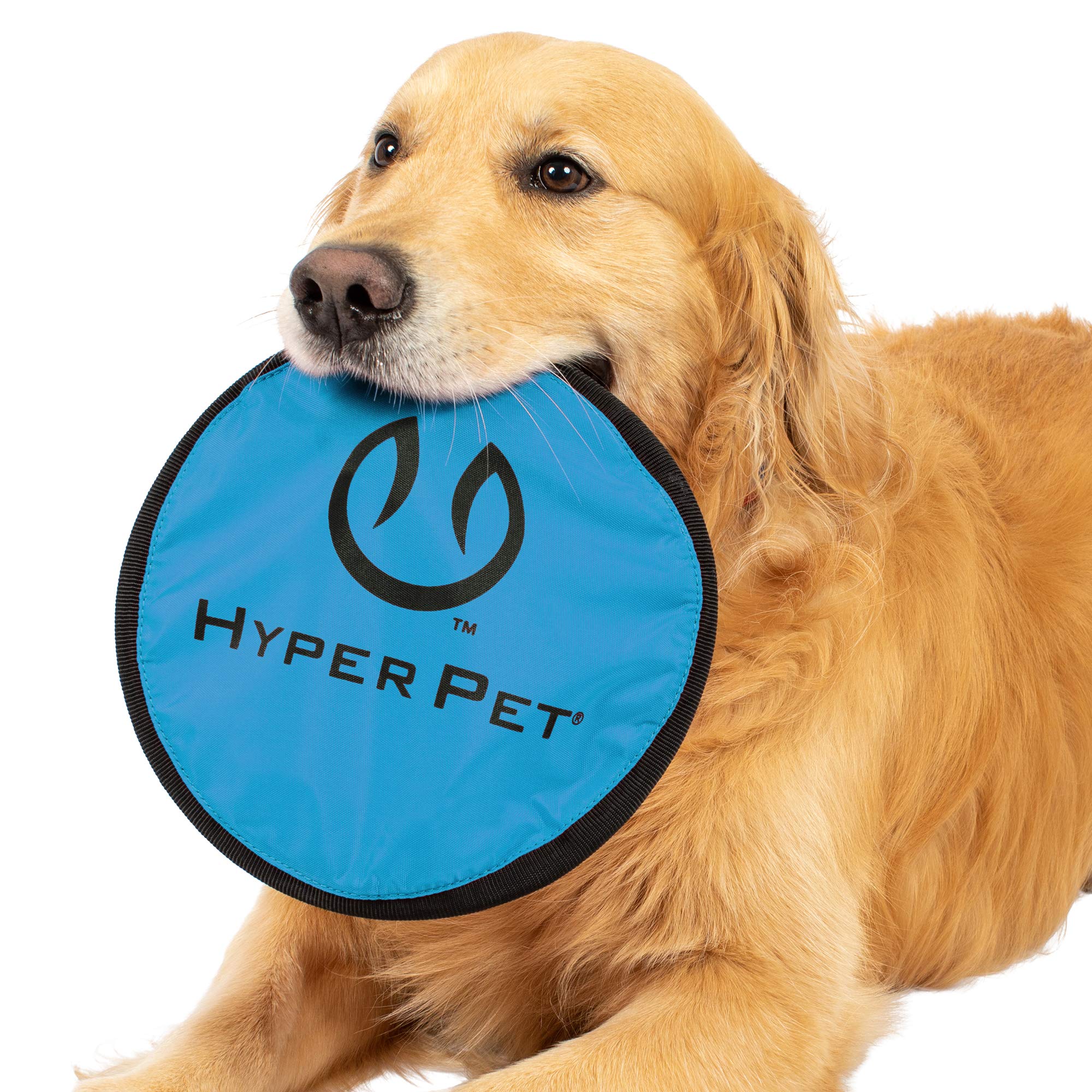 Hyper Pet Flippy Flopper 9'' Flying Disc Soft Dog Toy, Floats In Water & Safe On Teeth, For All Breeds, Pack Of 5 (Colors May Va
