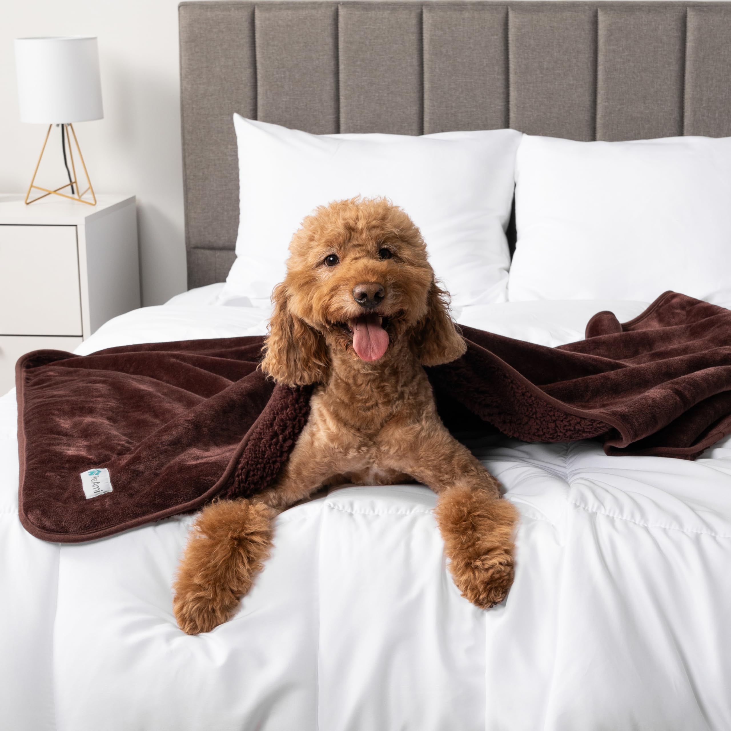 Petami Waterproof Dog Blanket For Medium Large Dogs, Pee Proof Pet Blanket For Bed Couch, Reversible Water Proof Blanket For Puppy Indoor Cat, Soft Dog Pee Crate Cover Washable, 60X80 Brown