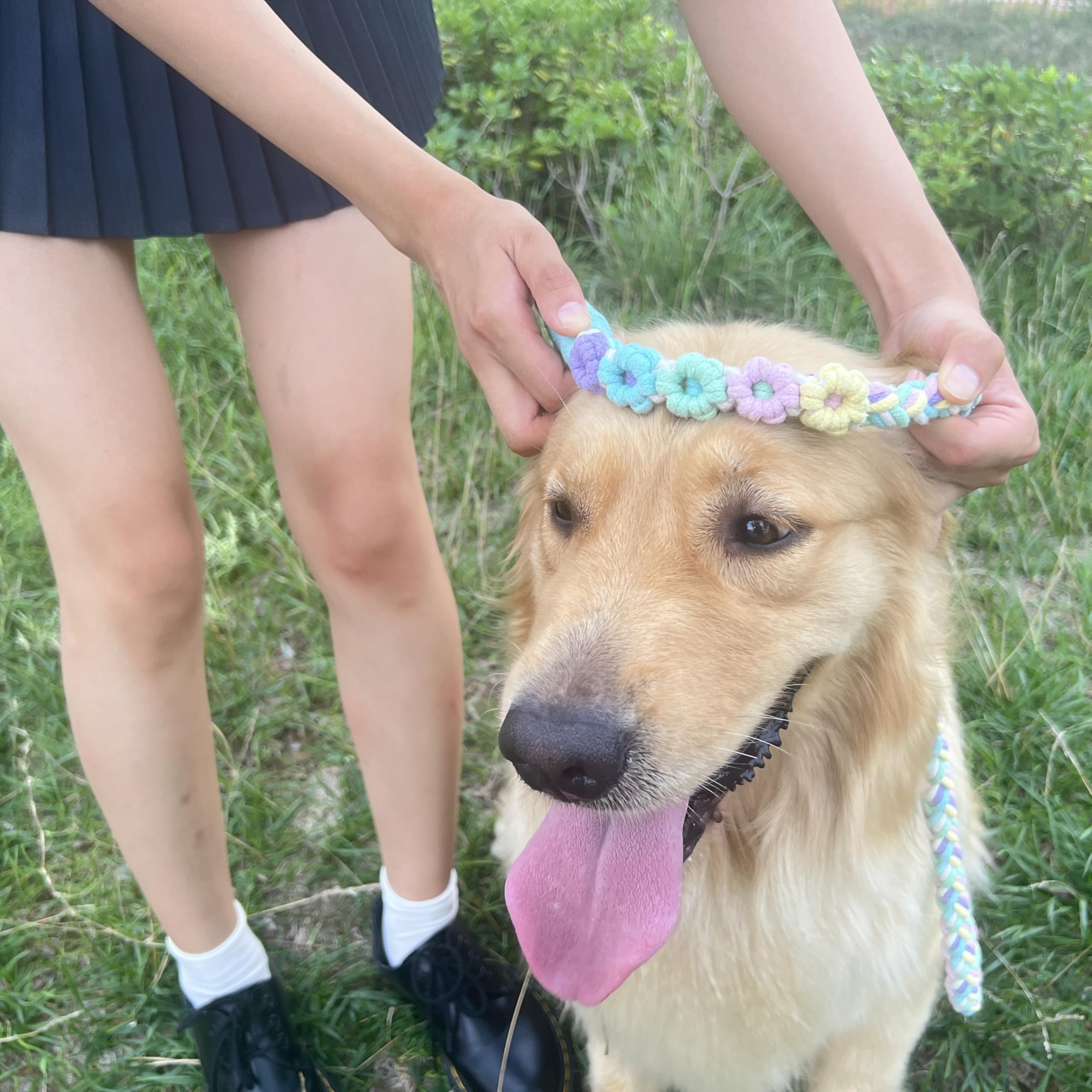 Handmade 5Ft Braided Cotton Dog Leash With Unique Floral Handle, Durable And Stylish, Ideal For Small To Large Dogs, Rainbow Col