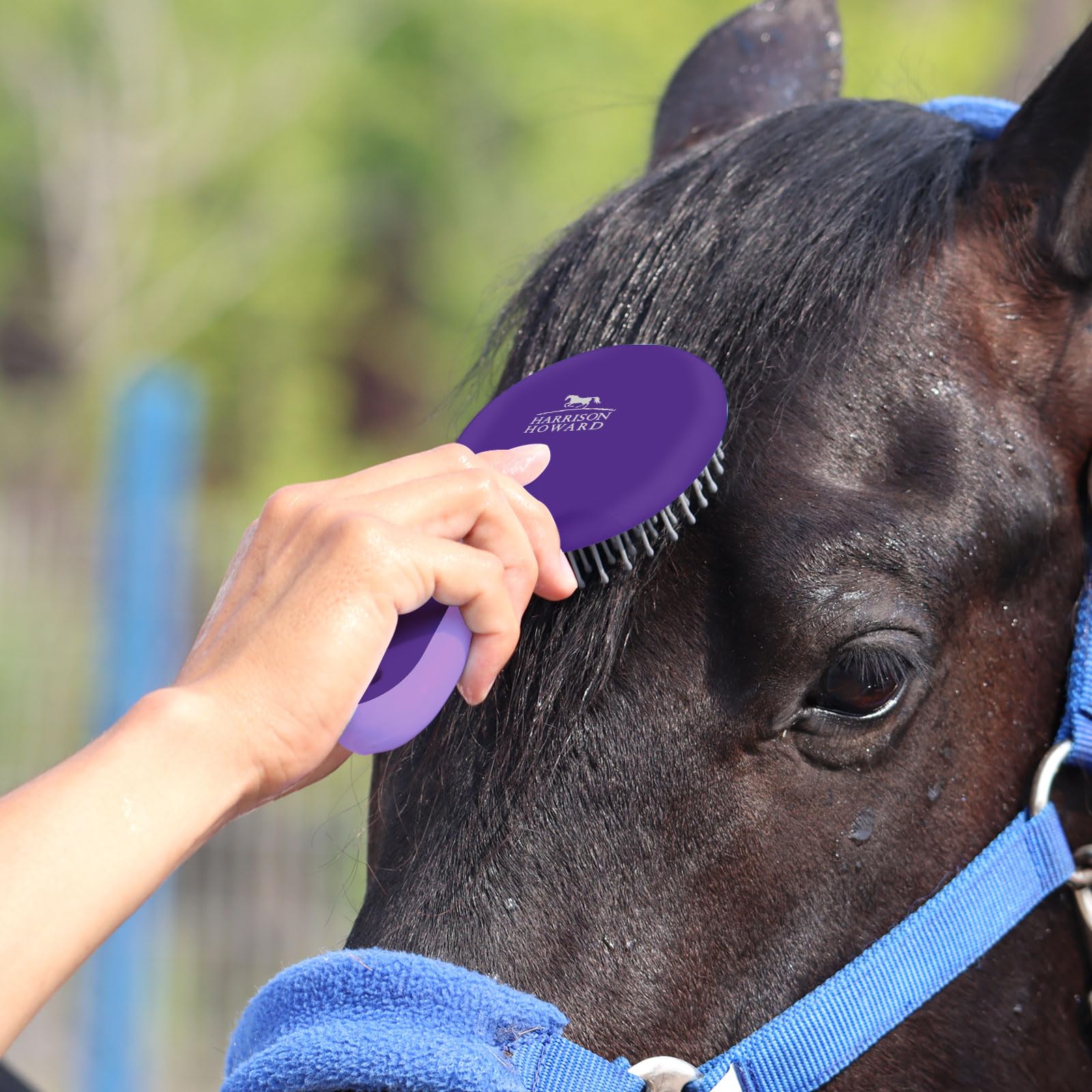 Harrison Howard Horse Mane And Tail Brush - Professional Grooming Brush, Equestrian Detangler, Non-Slip, Purple