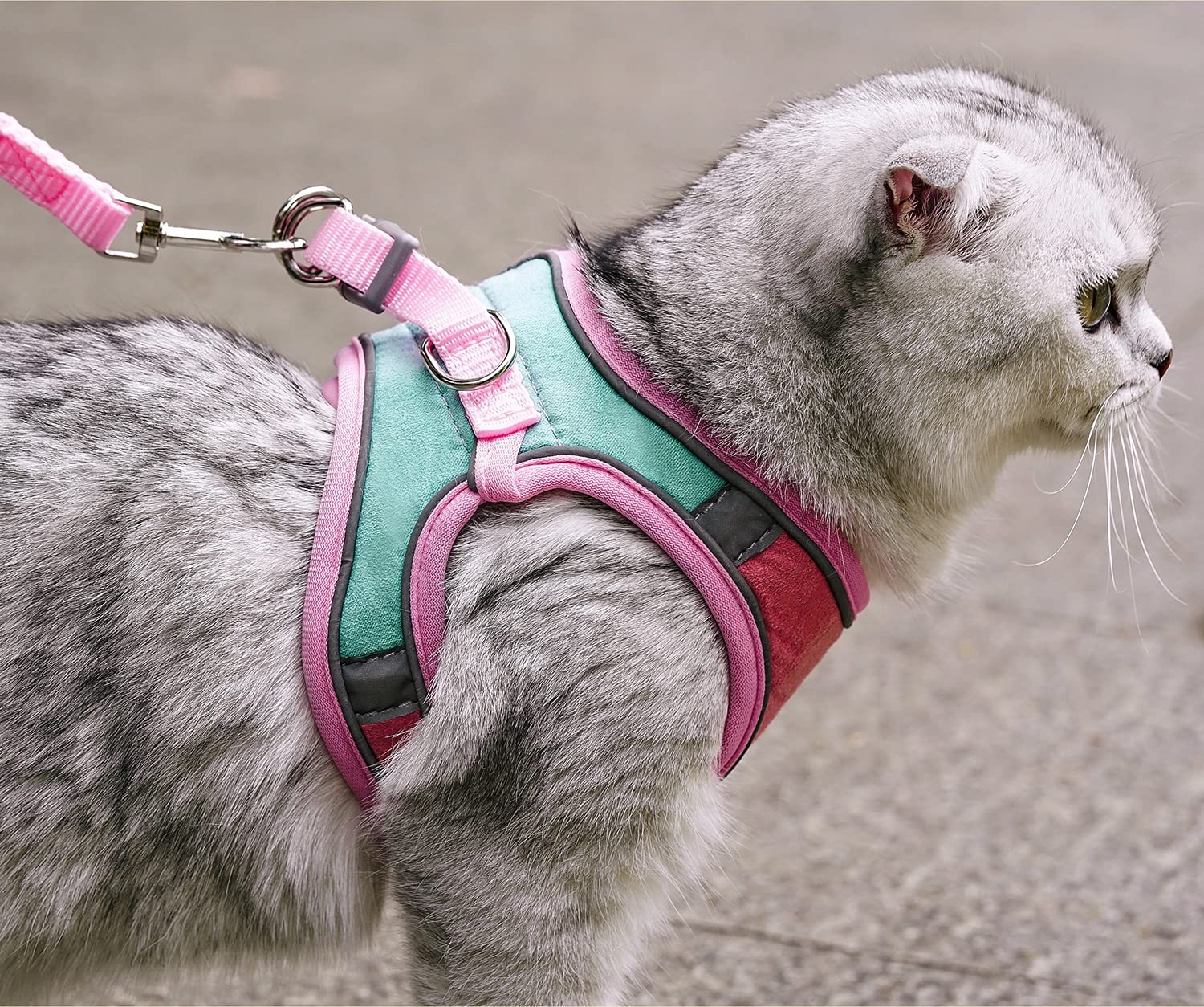 Jsxd Cat Harness,Leash And Collar Set,Escape Proof Kitten Vest Harness For Walking,Easy Control Night Safe Pet Harness With Refl