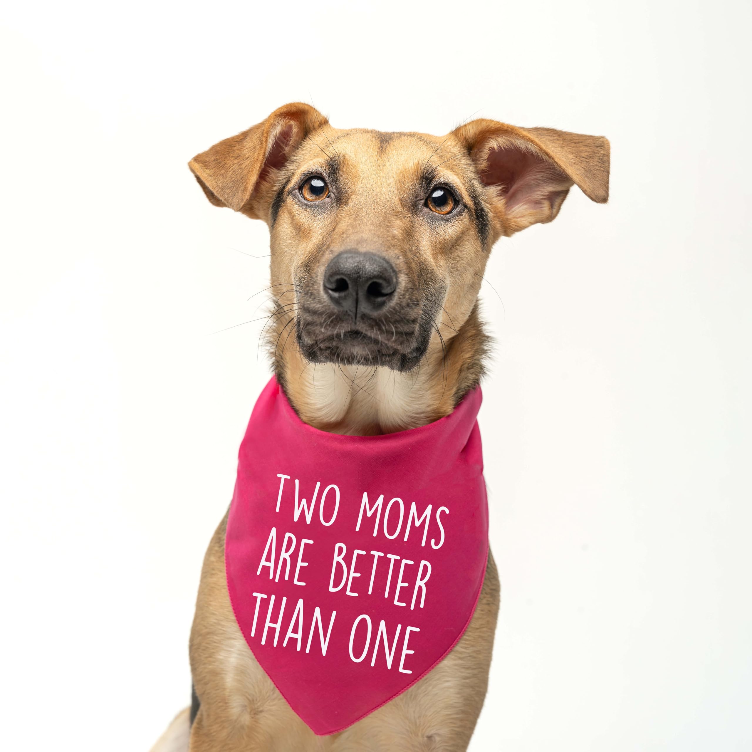 Two Moms Are Better Than One Lgbtq Pride Month Dog Bandana (322 Hot Pink, One Size)
