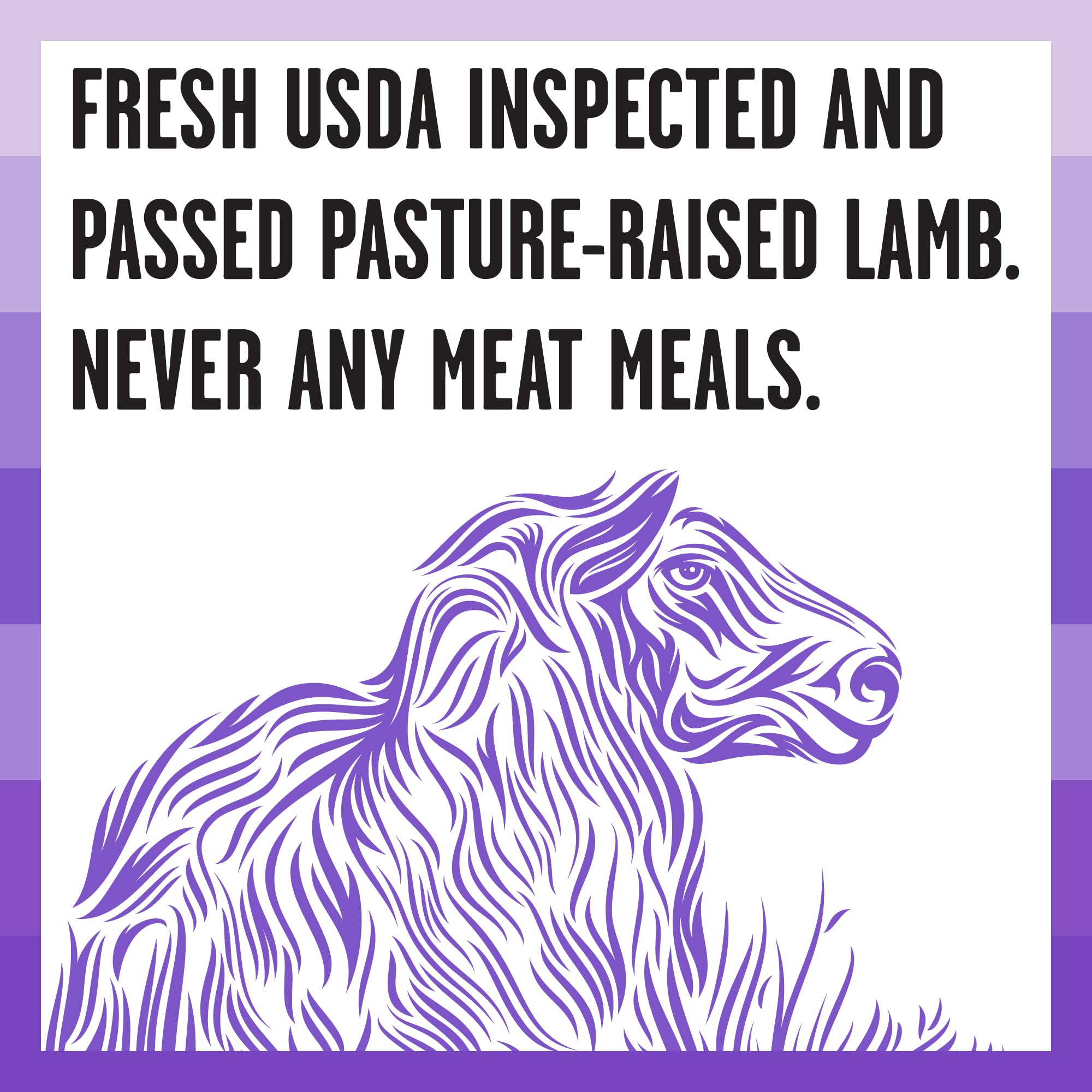 BIXBI Rawbble Dry Dog Food, Lamb, 24 lbs - USA Made with Fresh Meat - No Meat Meal & No Corn, Soy or Wheat - Freeze Dried Raw Co