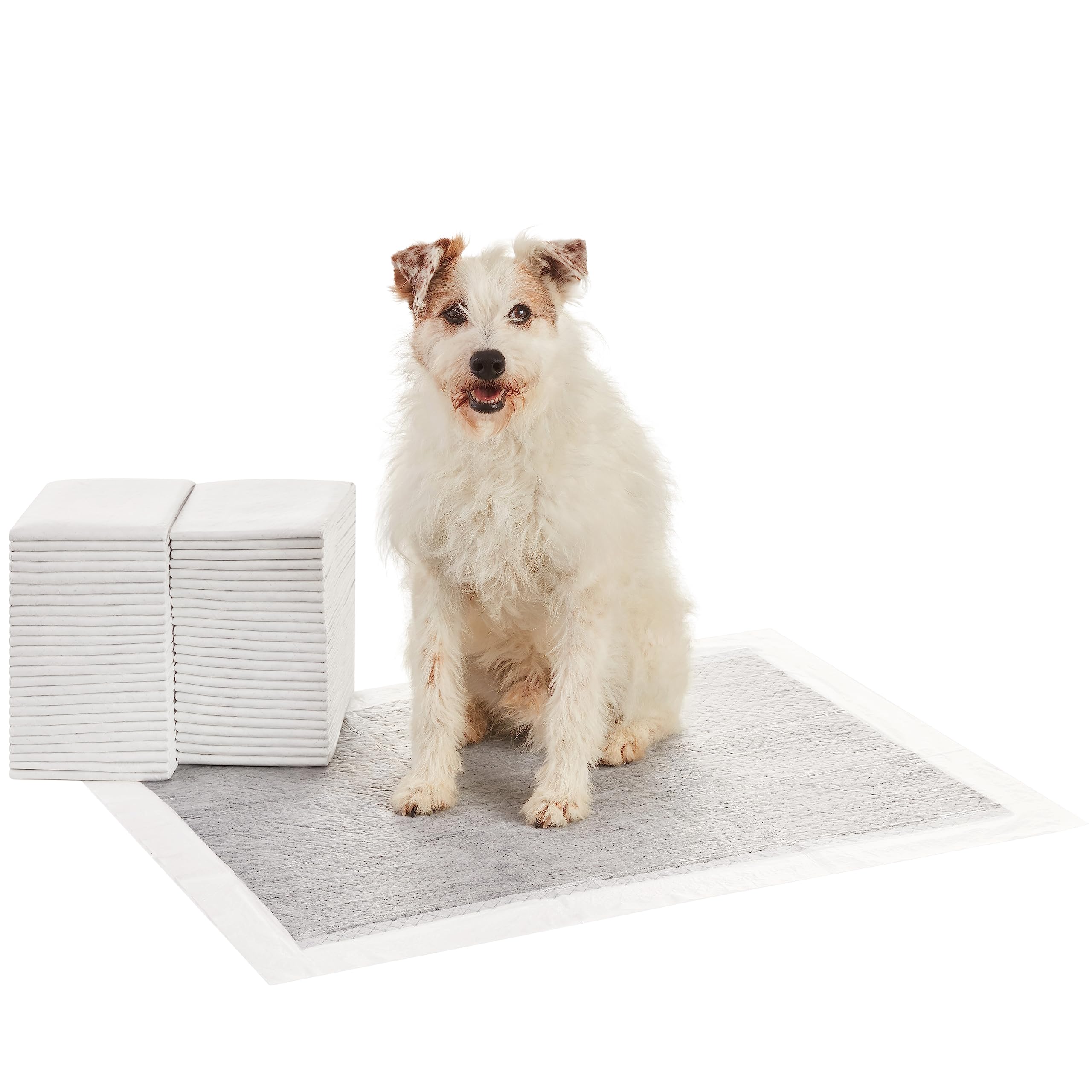 Amazon Basics Dog And Puppy Pee Pads With 5-Layer Leak-Proof Design And Quick-Dry Surface For Potty Training, Odor-Control Carbo