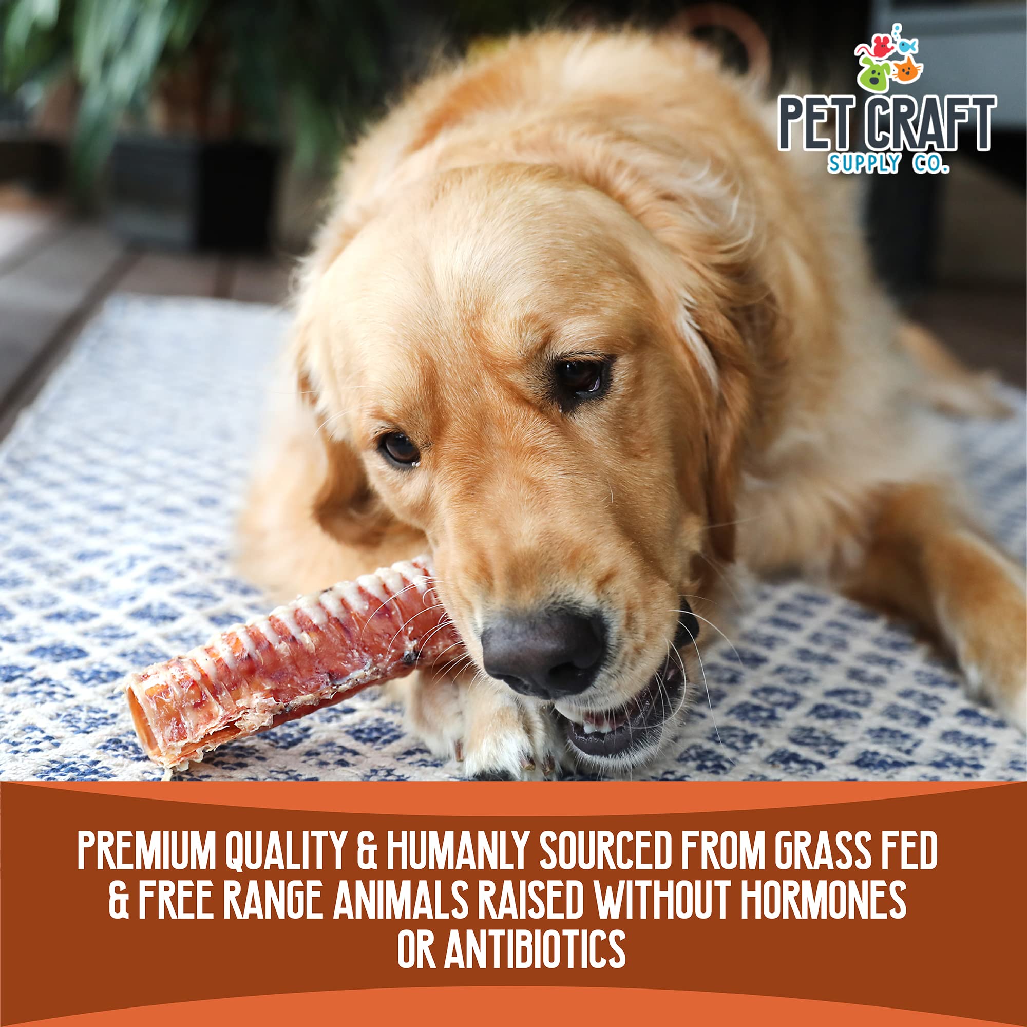 Pet Craft Supply Beef Butcher Dog Chews Treats, 12 Pack, Rawhide Free, Long Lasting for Small, Medium, Large Dogs, Model 8766