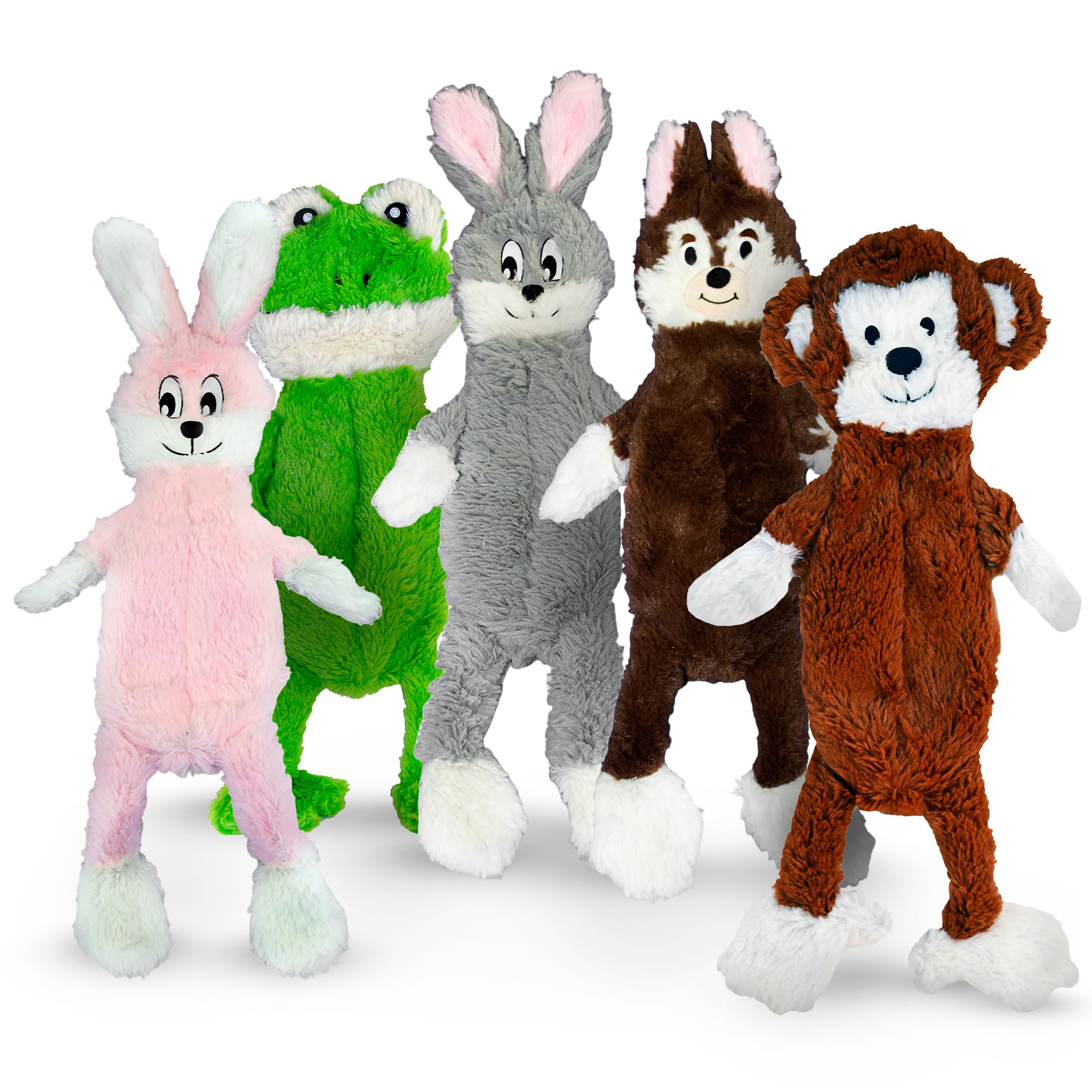 Fga Marketplace Bundle Of 5 Flat No Stuffing No Squeak Plush Dog Toys, Funny Style Will Entertain Your Pet For Hours, Recommende