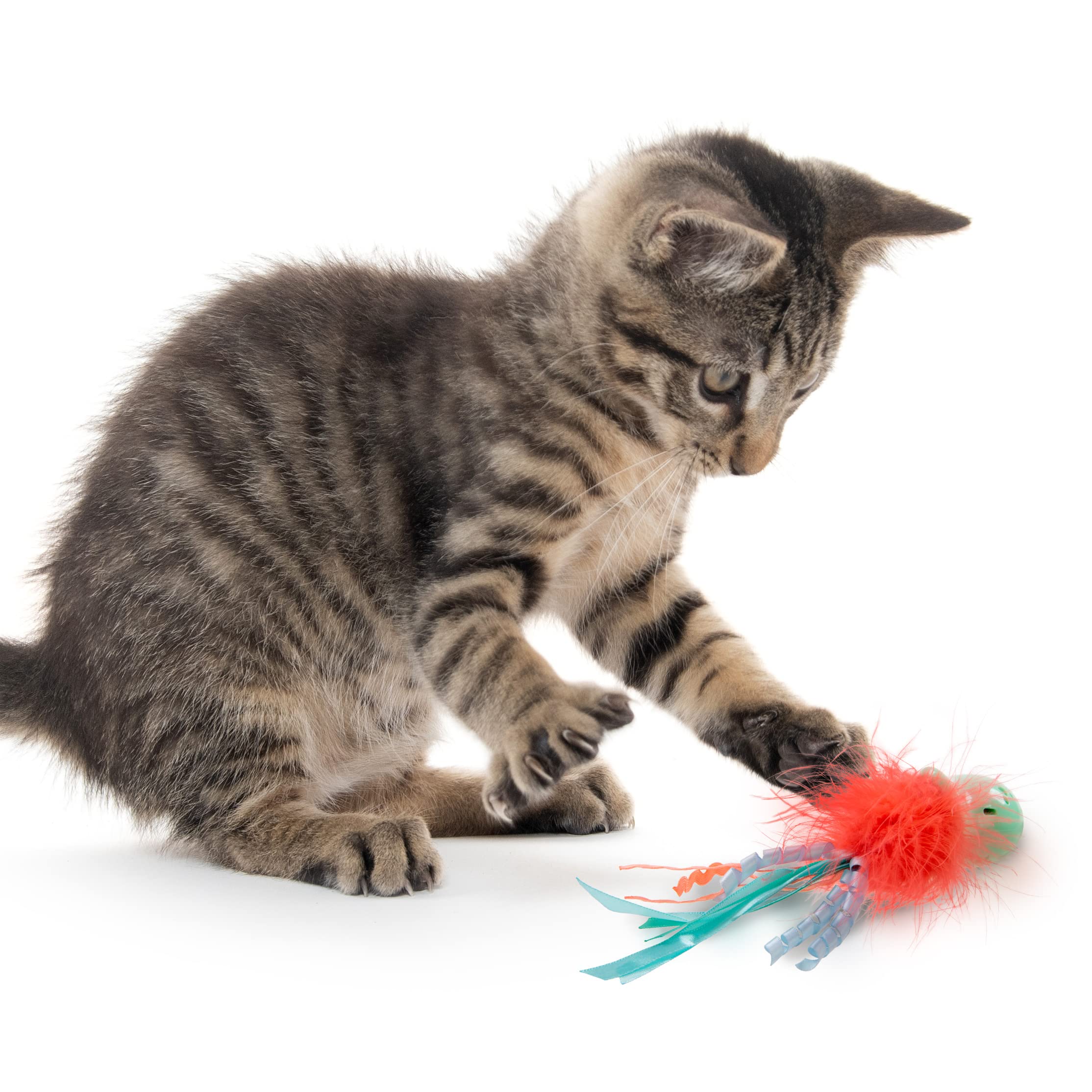 Petlinks Jolly Jelly Soft Touch Wobble Cat Toy - Multi Color, One Size