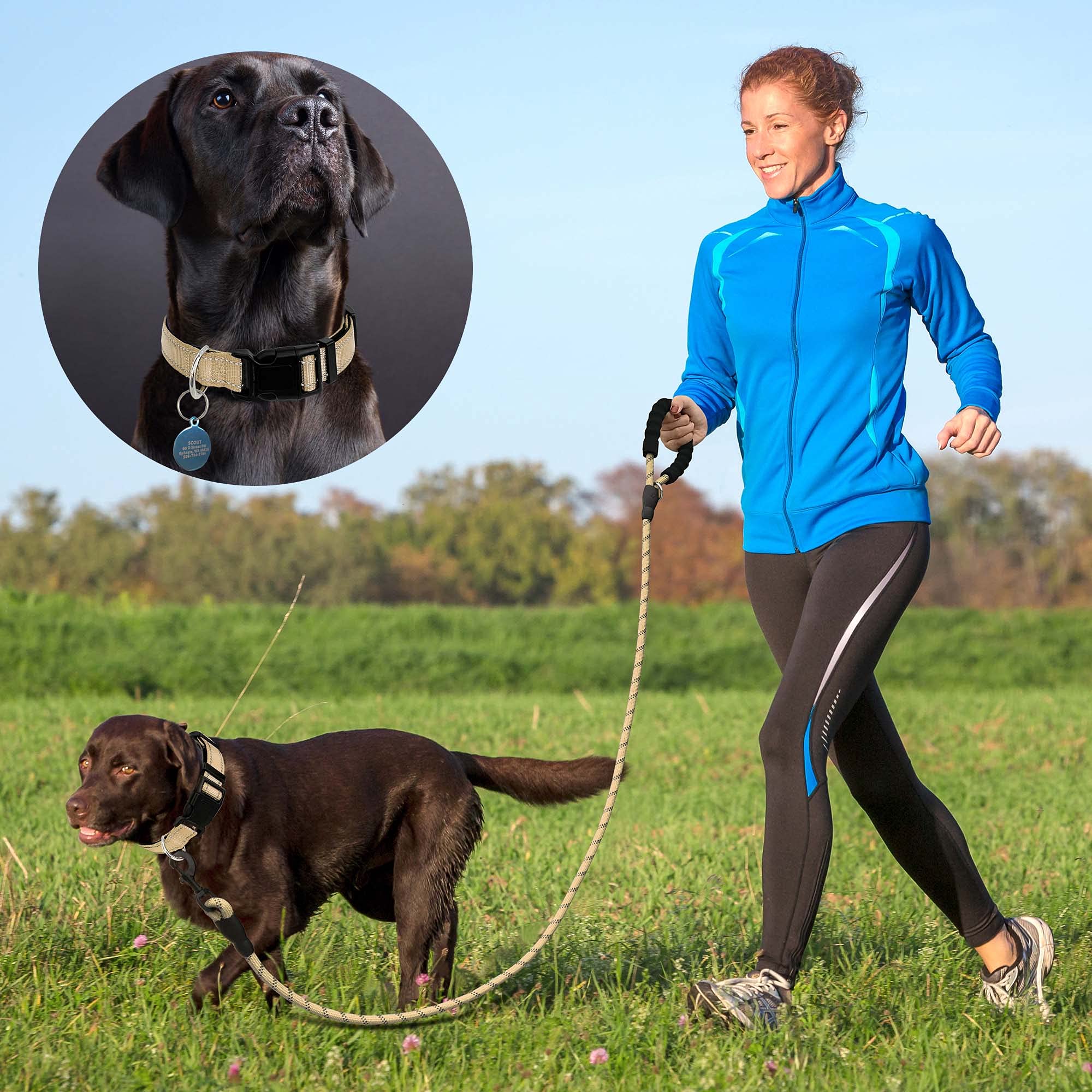 Ladoogo Reflective Dog Collar Padded With Soft Neoprene Breathable Adjustable Nylon Dog Collars For Small Medium Large Dogs (X-Small (Pack Of 1), Vanilla Collar+Leash)