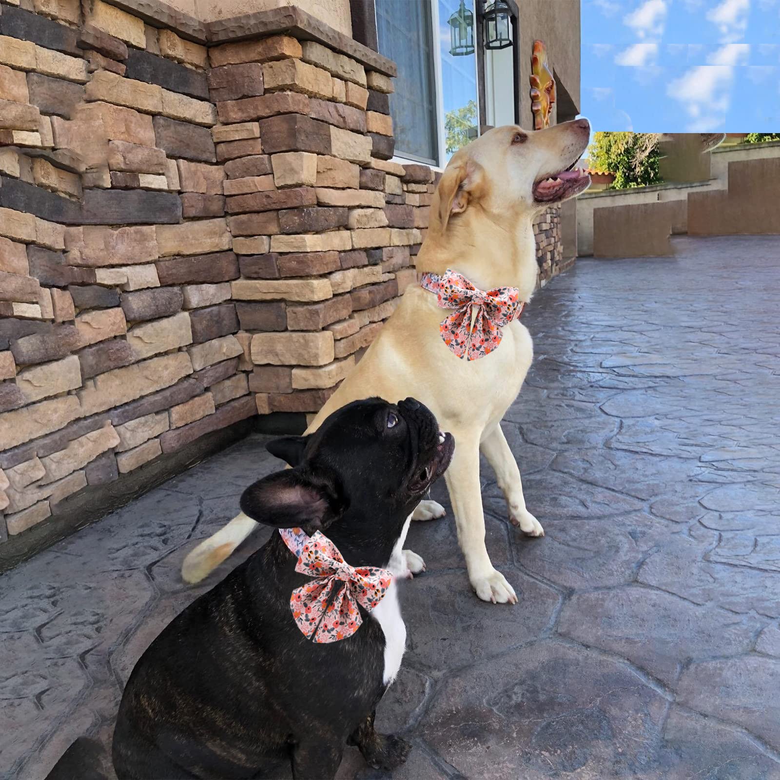 Unique Style Paws Dog Collar With Tie Adjustable Pink Bowtie Puppy Collars For Small Medium Large Dogs And Cats-M