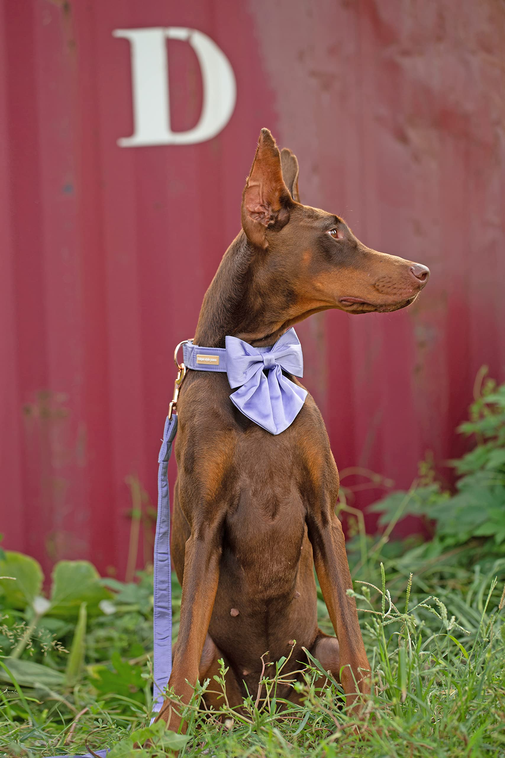 Unique Style Paws Purple Silk Dog Collar Adjustable Durable Dog Collar With Bow Fashion Bowtie Collar For Large Dogs