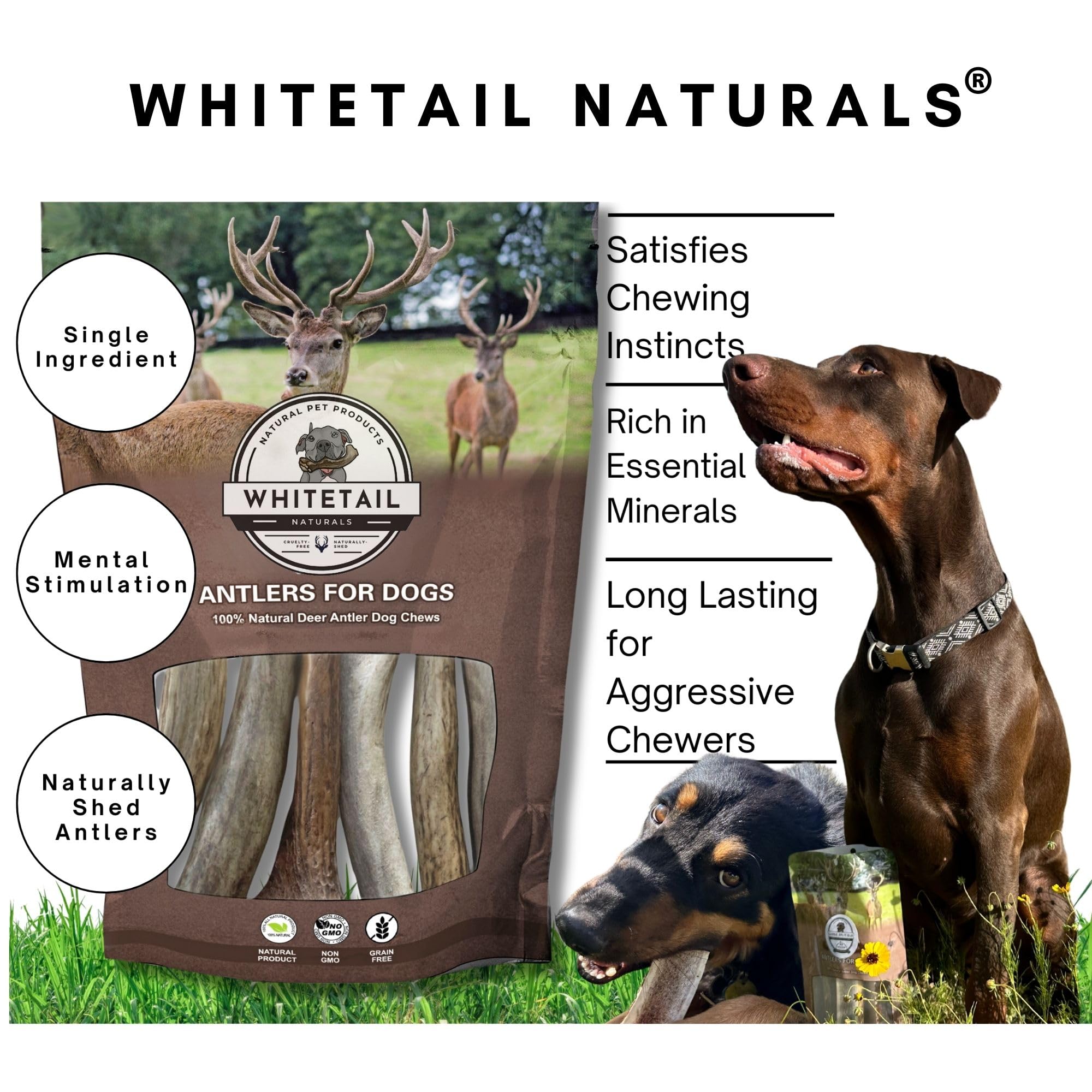 WhiteTail Naturals - Deer Antlers for Large Dogs (2 Pack- Jumbo XXL) All Natural Antler Dog Chew - Naturally Shed, Long Lasting