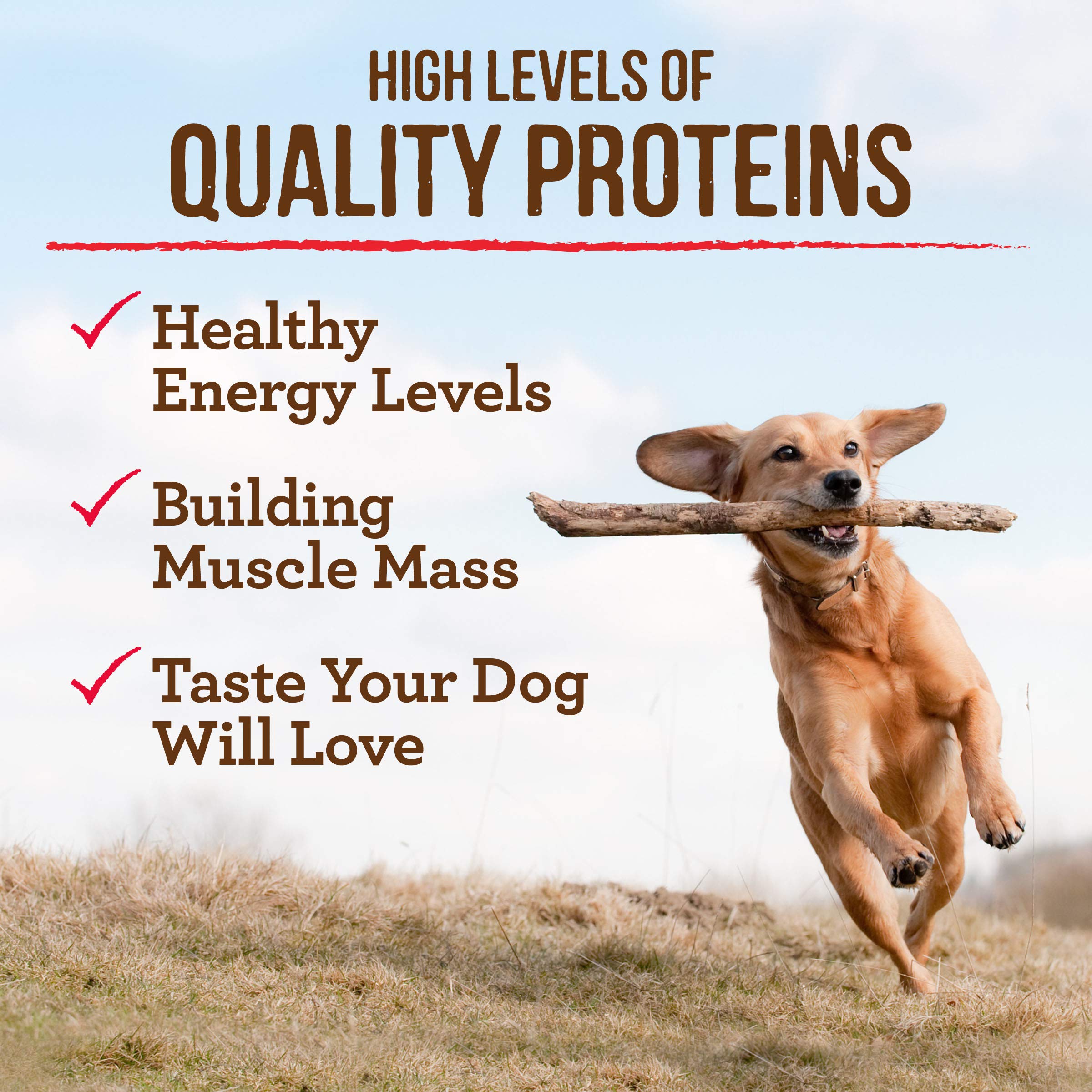 Merrick Premium Grain Free Dry Puppy Food, Wholesome And Natural Kibble With Real Texas Beef And Sweet Potato - 4.0 lb. Bag