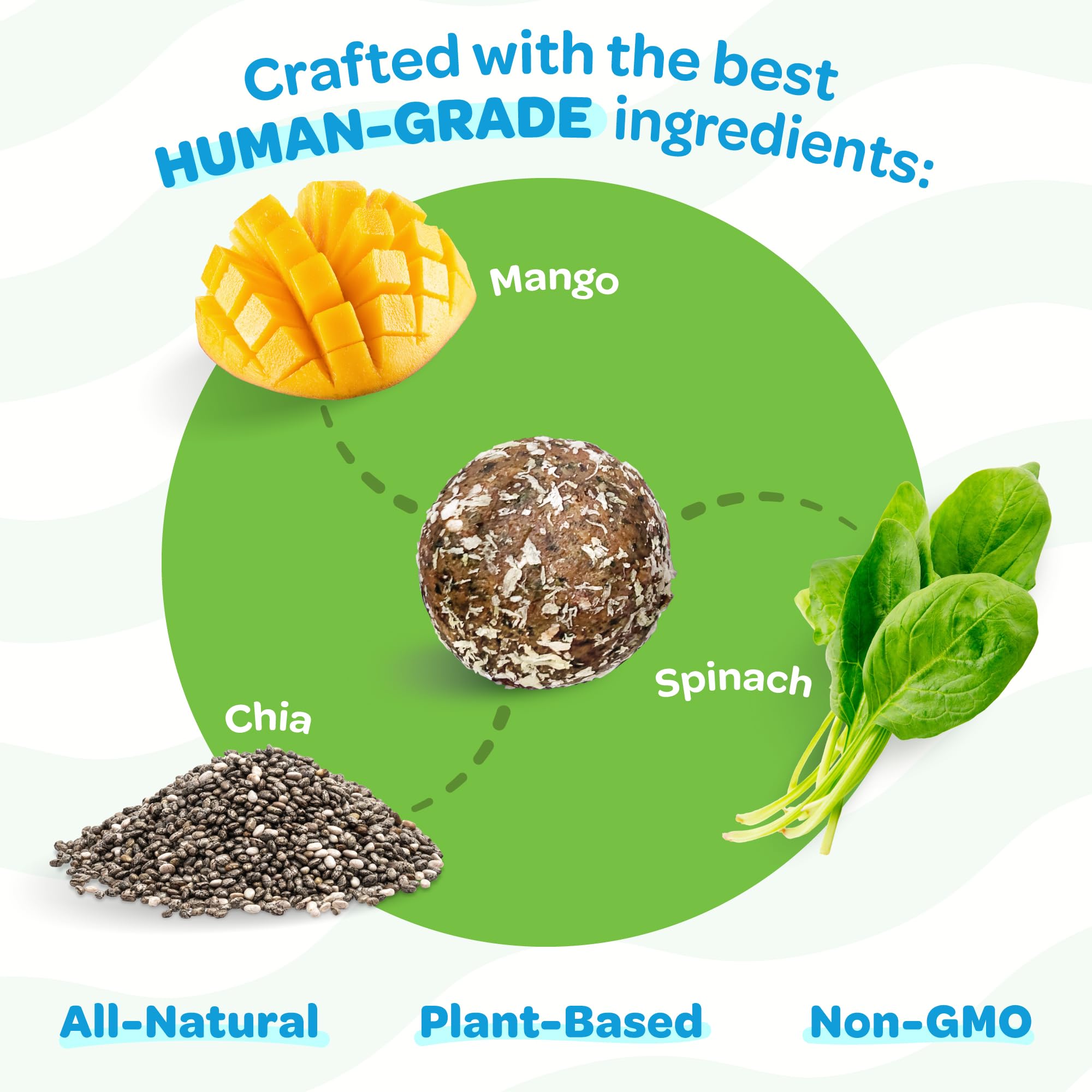 TREAT-A-BALLS Nutritious All Natural Bulk Dog Treats - Vegan, Fiber-Rich, Human-Grade - All Breeds, Sizes, Ages - Made in New Ze